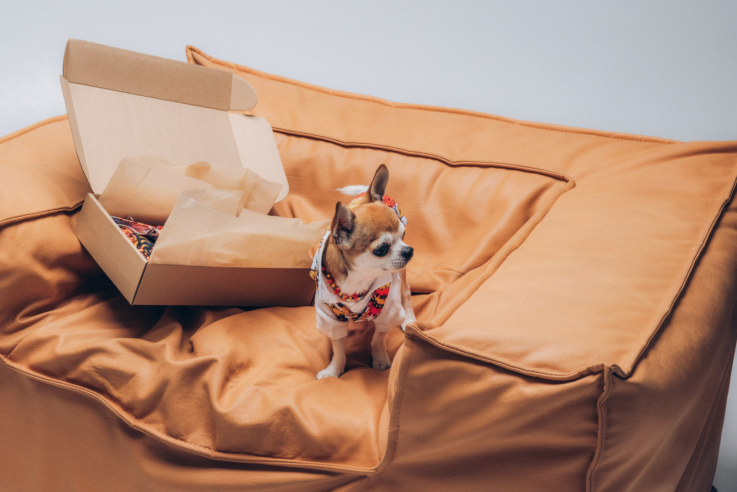 Лена для дома моды. Ольга Козлова фотограф Волгоград olkiny-fotki.ru