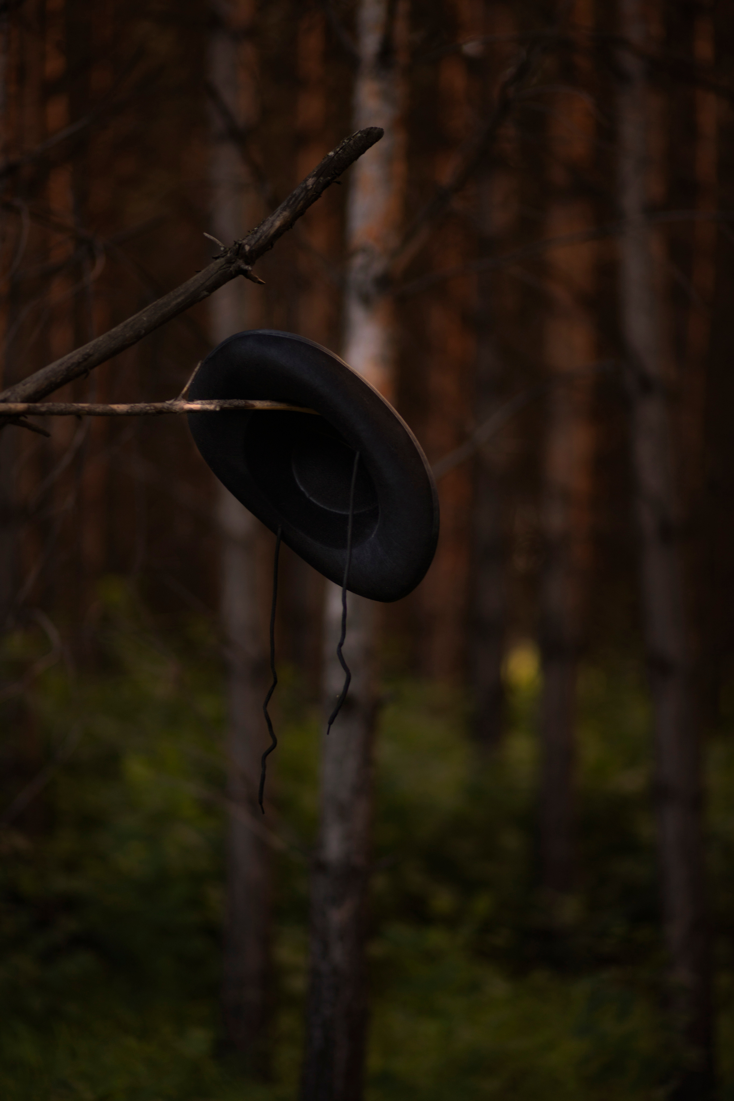 Съемка на природе. Фотограф в Нижнем Новгороде. Юлия Наумова