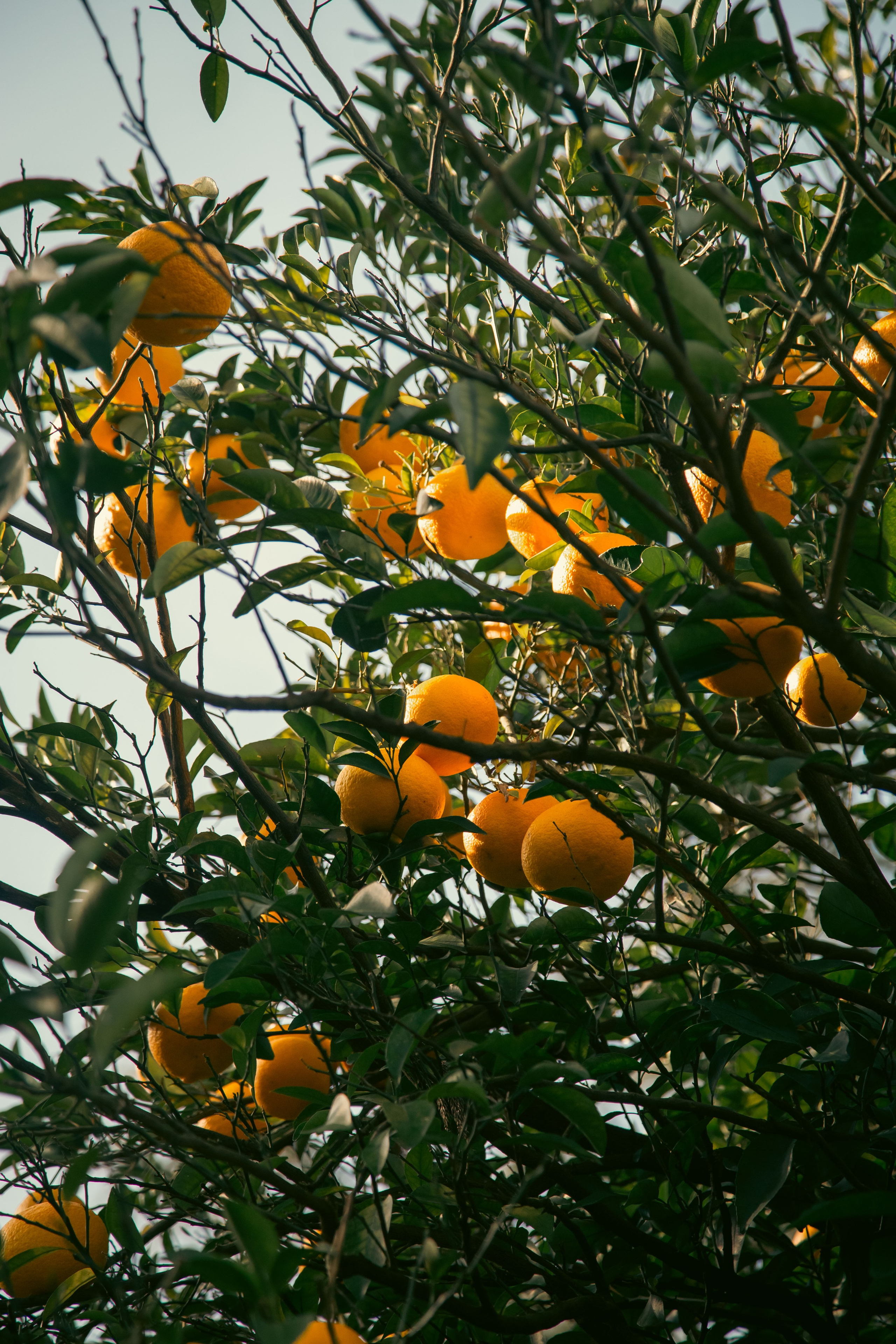 Batumi. Dmitriy [KCCC] is a pretty cool photographer