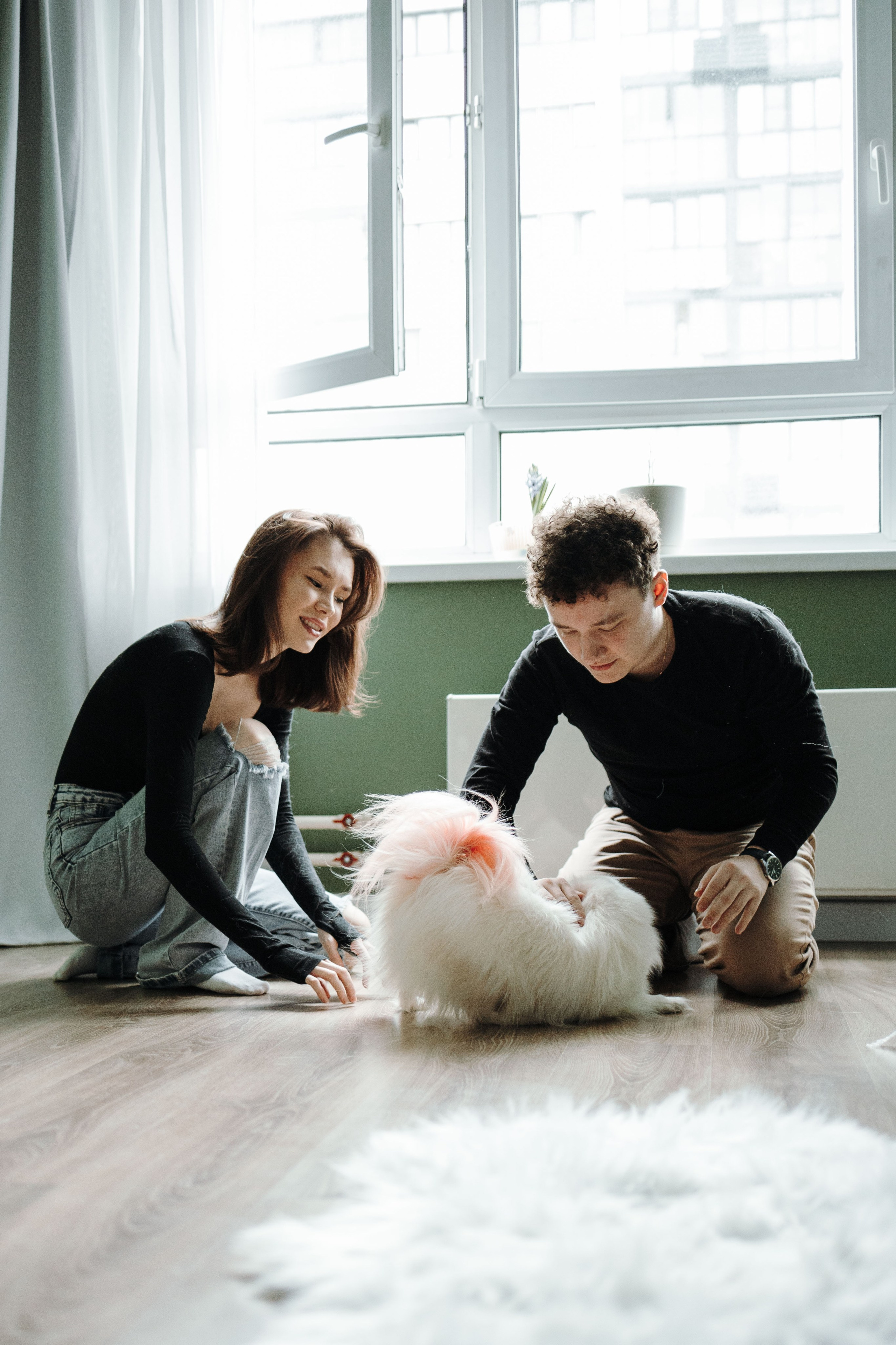 Шпиц Мася и ее семья