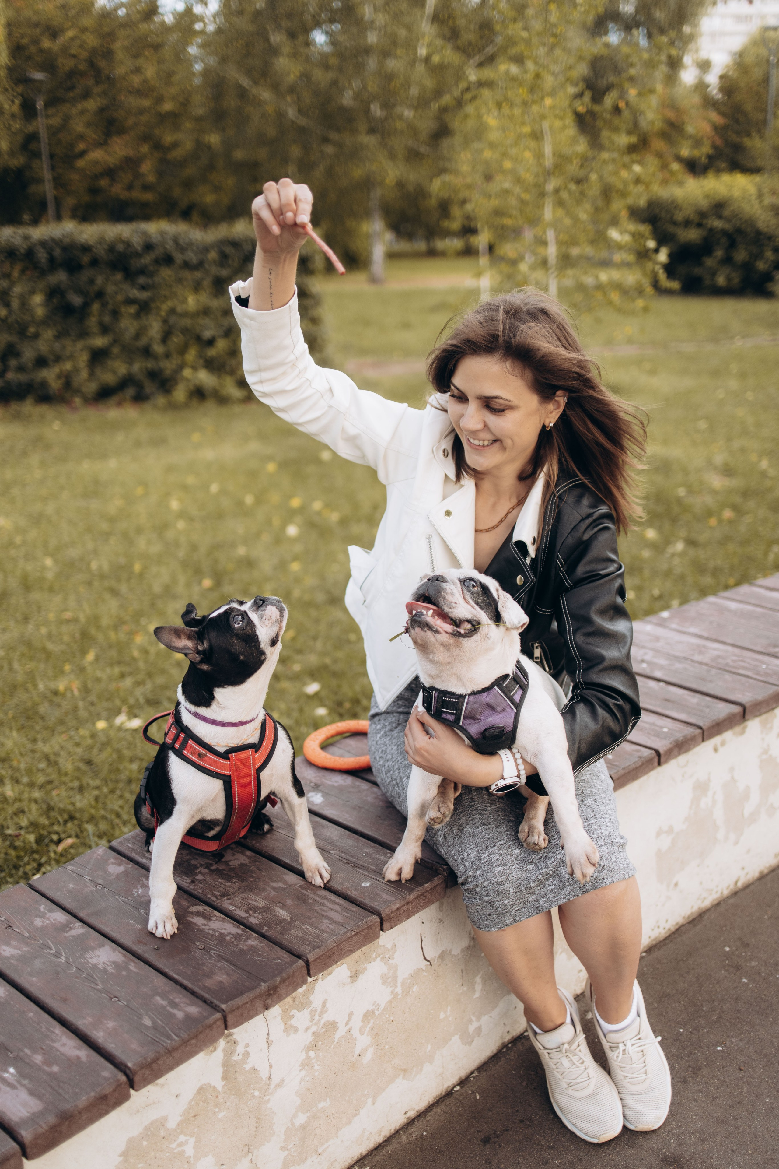 Оля и бульдоги