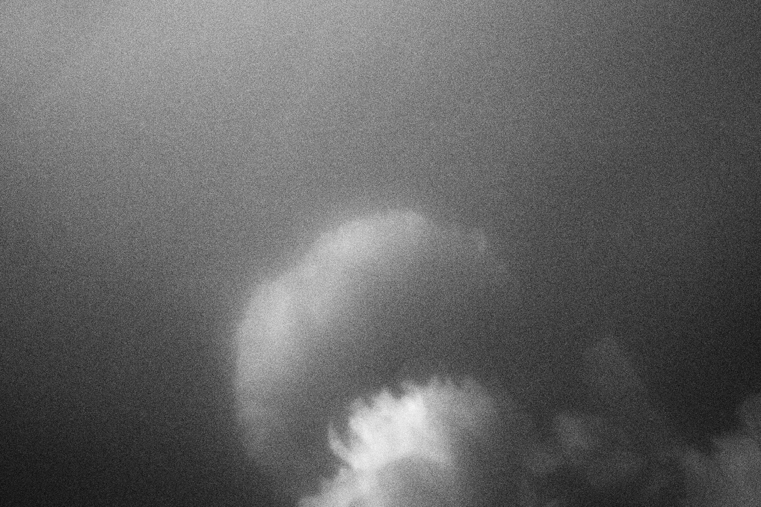 «Видеть. Чувствовать. Сохранять»