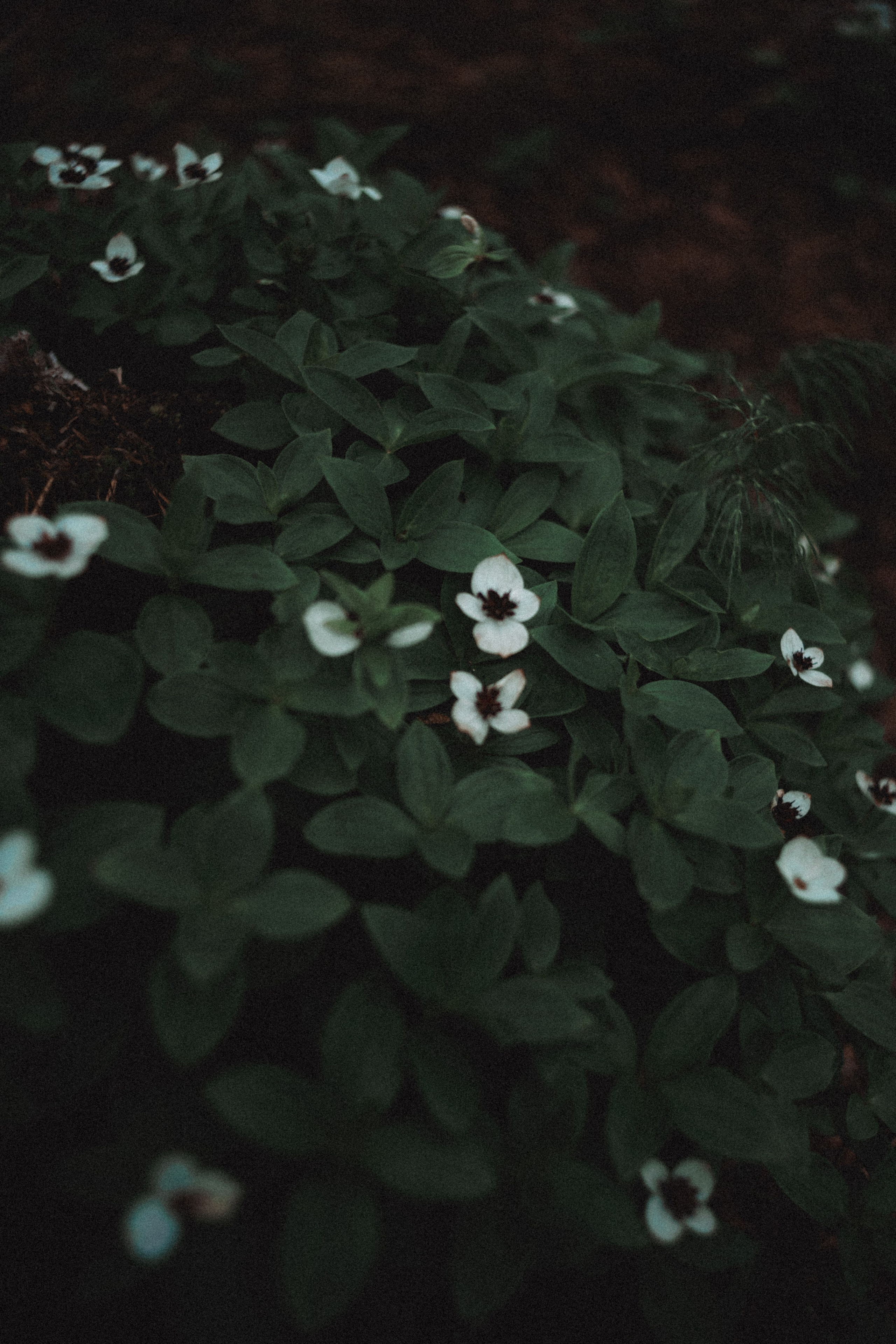 Териберка, Мурманск. Фотосъёмка для компании по организации туров в коллаборации с Яндекс 360