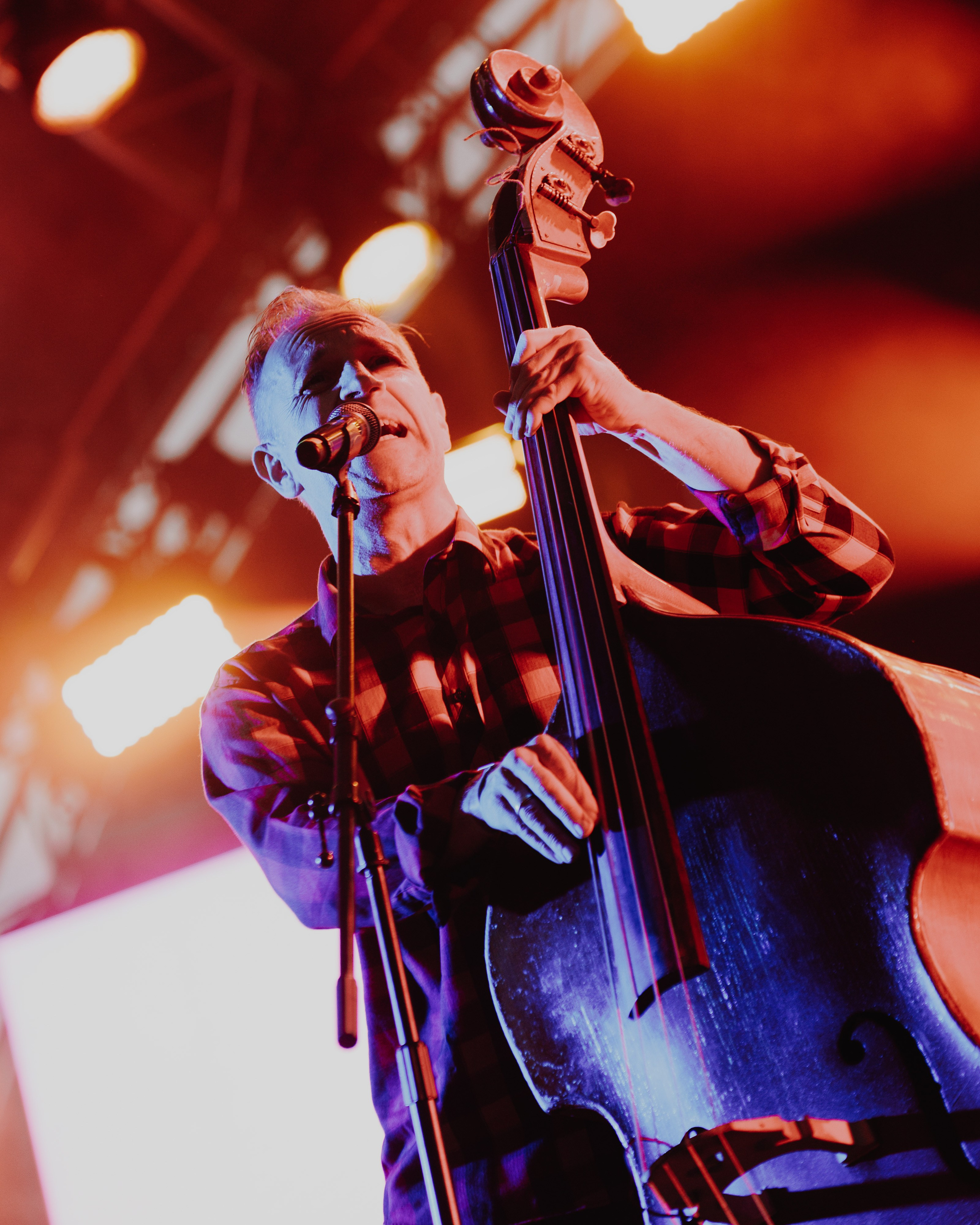 ДИКАЯ МЯТА 14-16.06.24. Концертный и репортажный фотограф в Москве и Санкт-Петербурге Мария