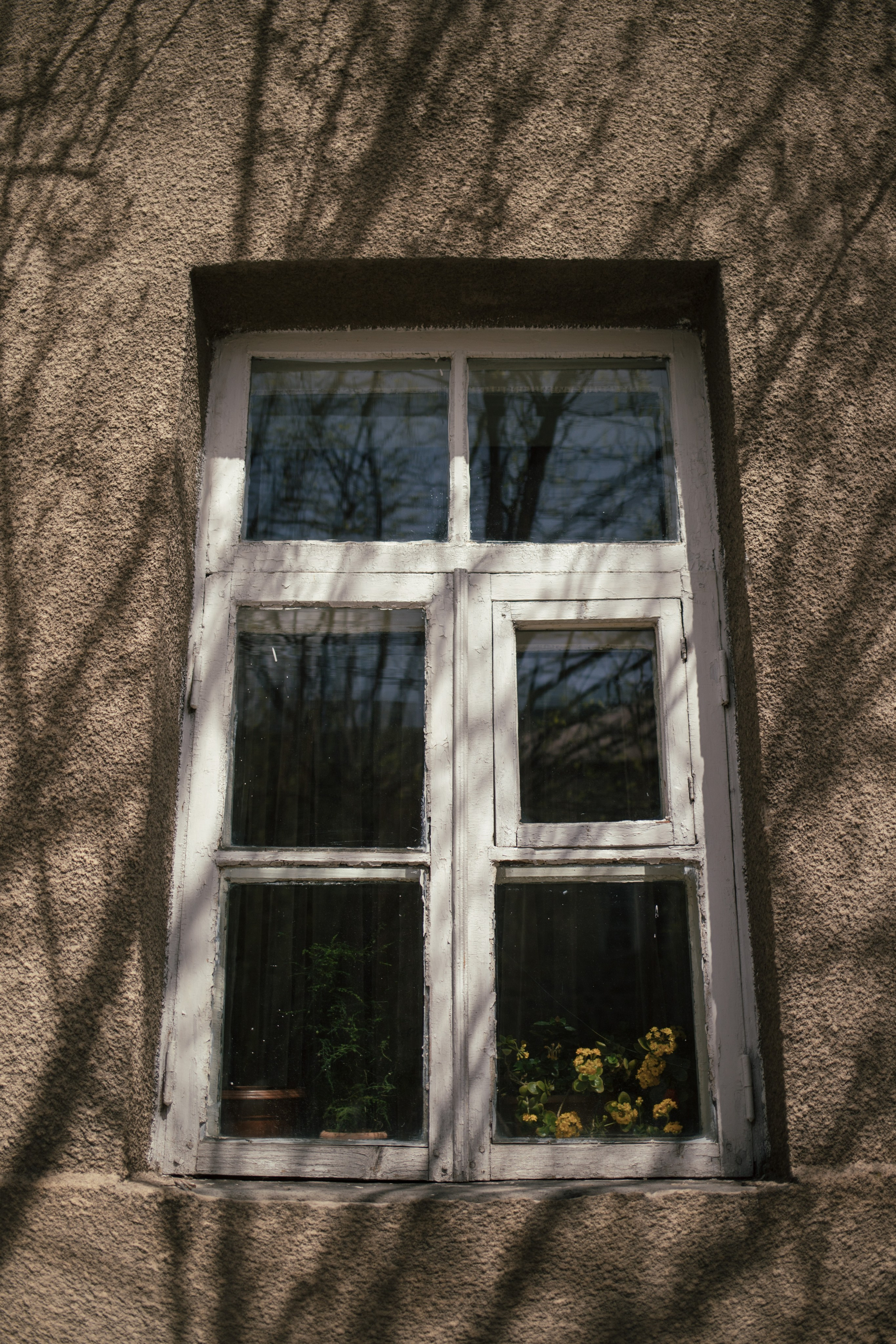 Armenia. Photographer Alina Skitovich