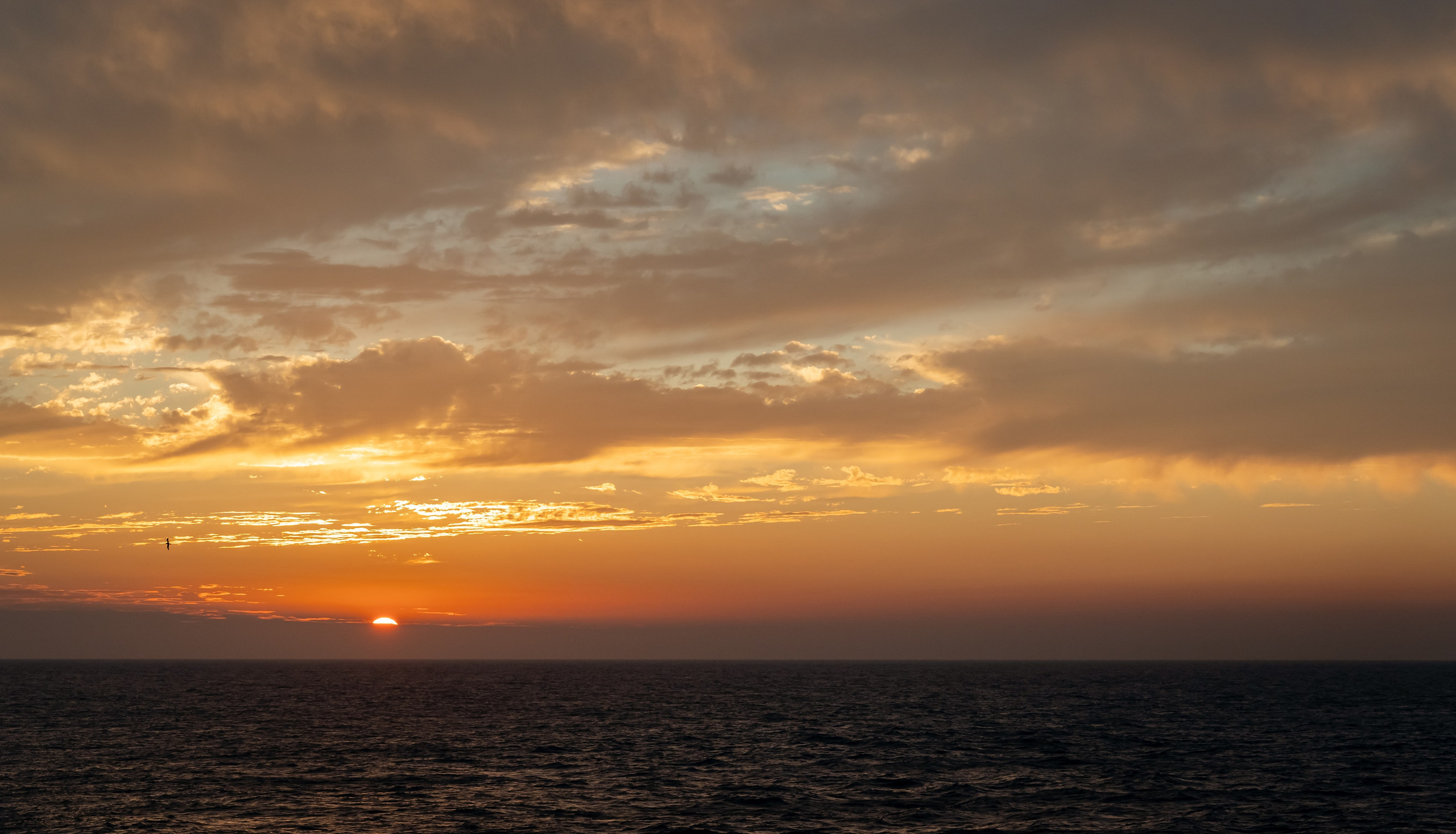 Итуруп. Семейный фотограф Варвара Сорока в городе Москве