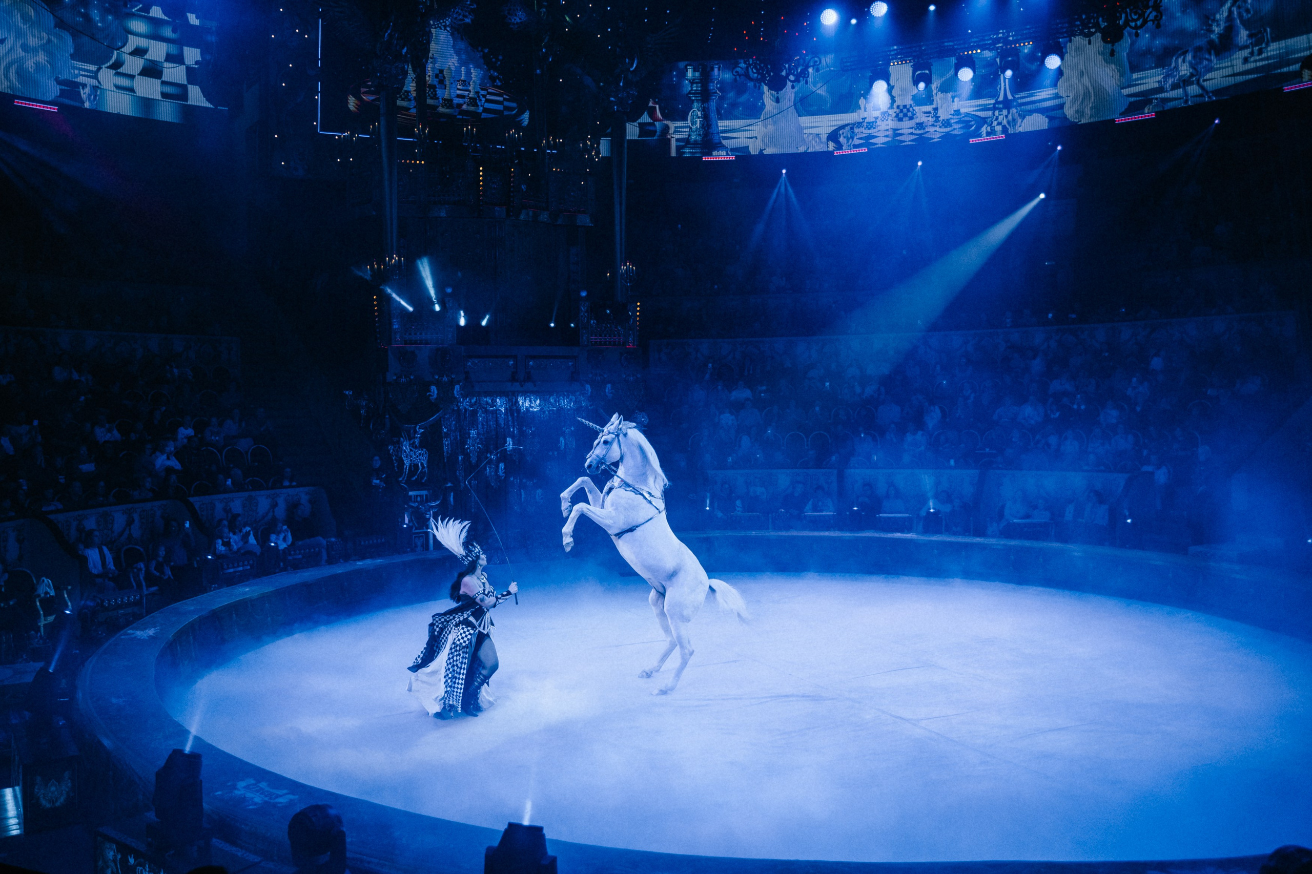 Королевский Цирк Гии Эрадзе. Репортажный и портретный фотограф в Санкт-Петербурге Степлевич Дарья
