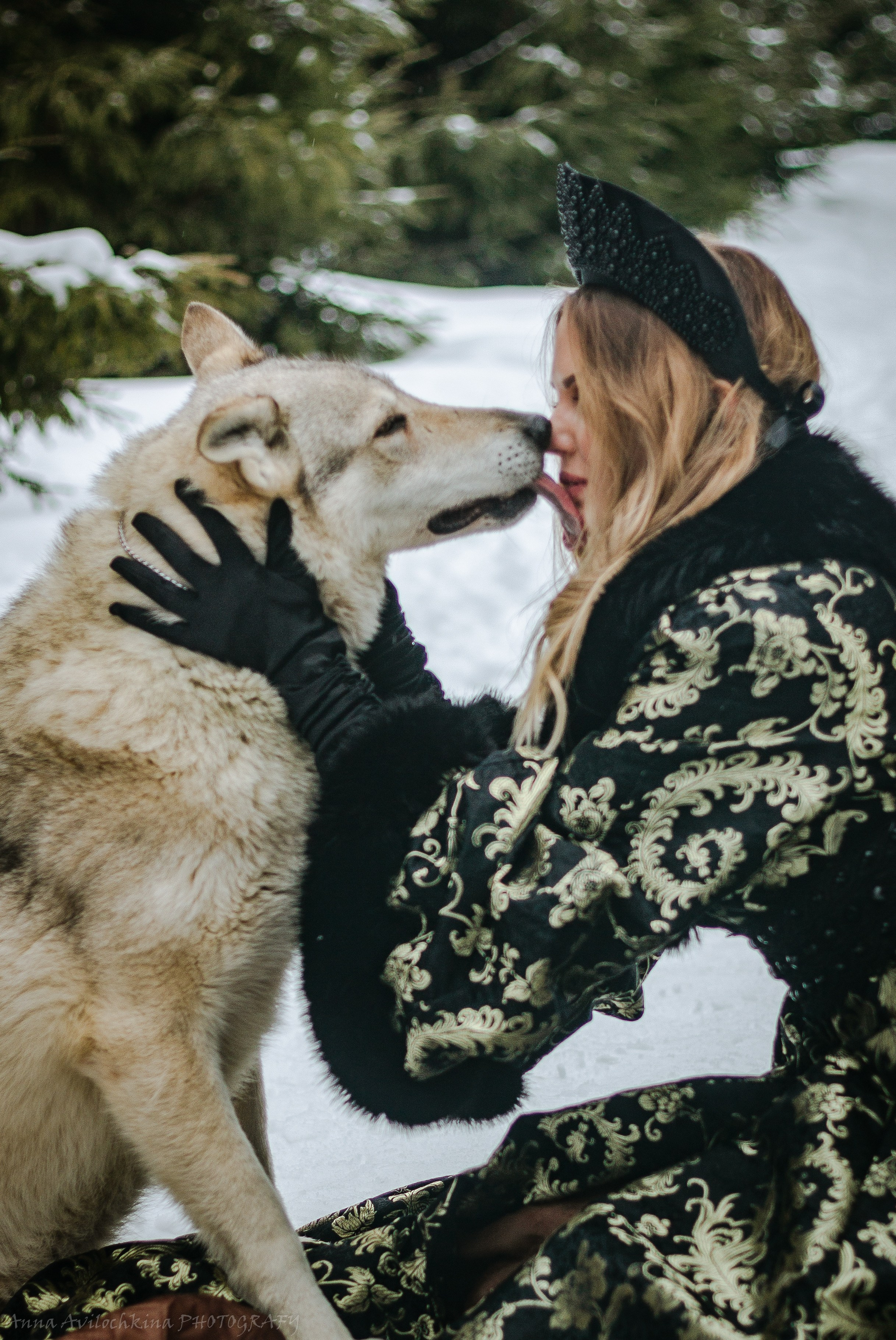 Альбомы стилизованных фотосессий и съёмки с животными. Семейный и свадебный фотограф в Москве и Домодедово Анна Авилочкина