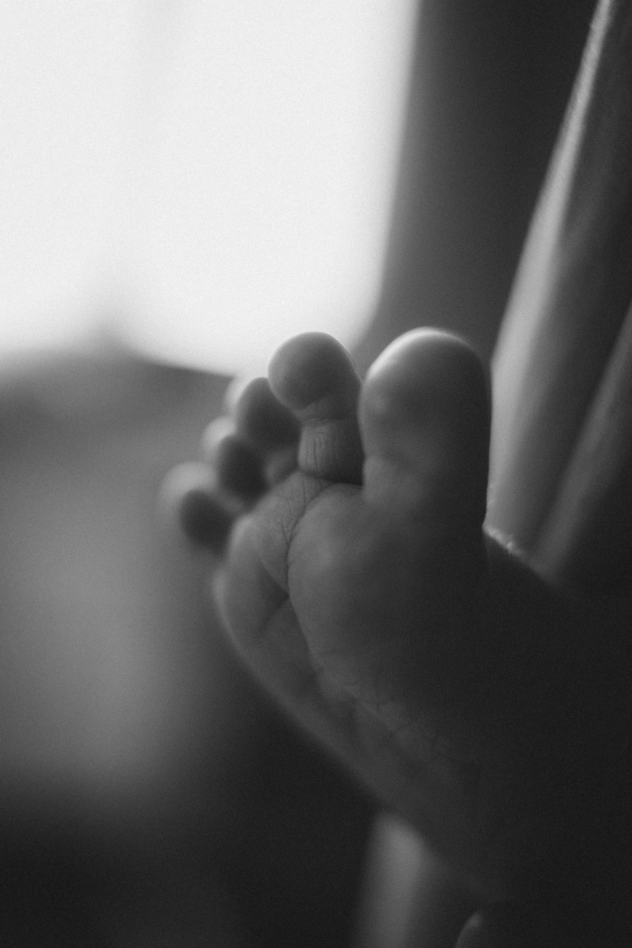 Платон. Евгения Пелипас