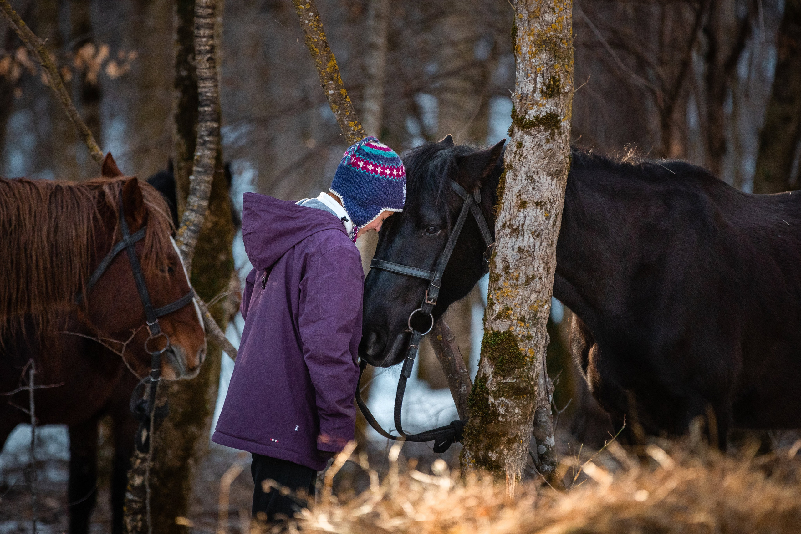 Фототуры в Карачаево-Черкессии 2019-2020. Фотограф-анималист Ксендзова Кристина