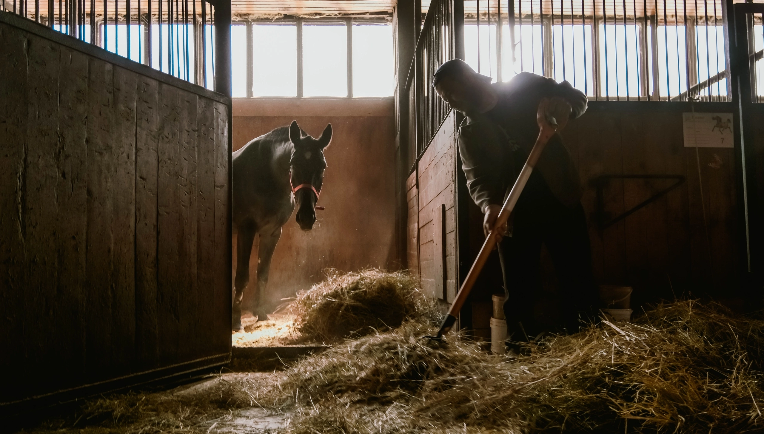 Документалистика. Фотохудожник в Санкт-Петербурге Вурал Мелиса