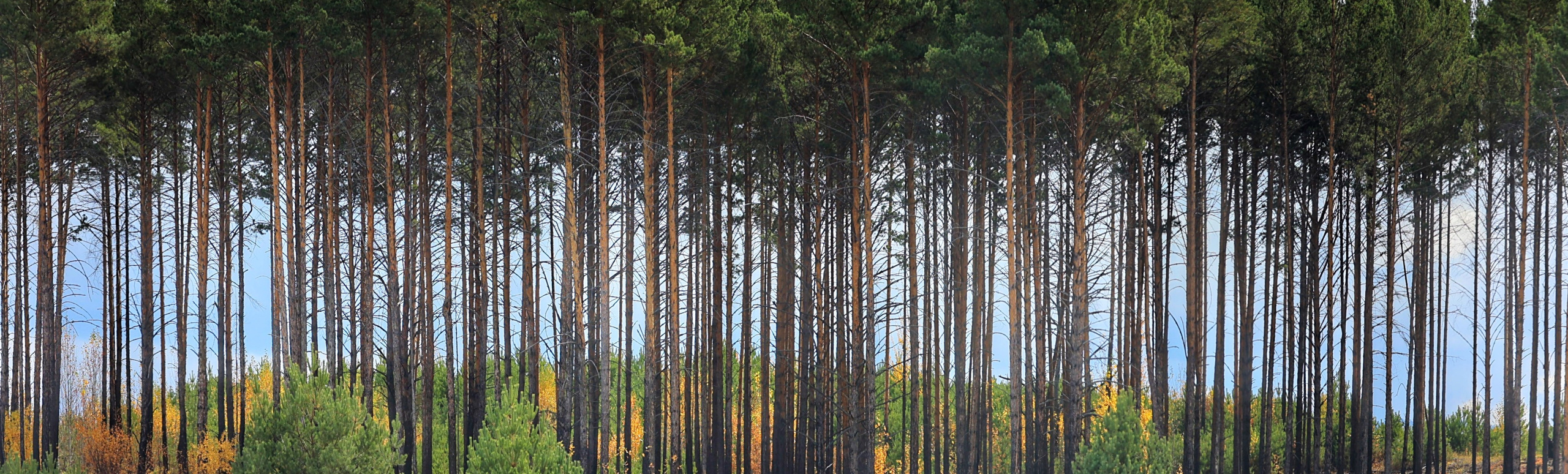 2022. Тащилин Сергей. Фотографии. Жизнь. Хобби