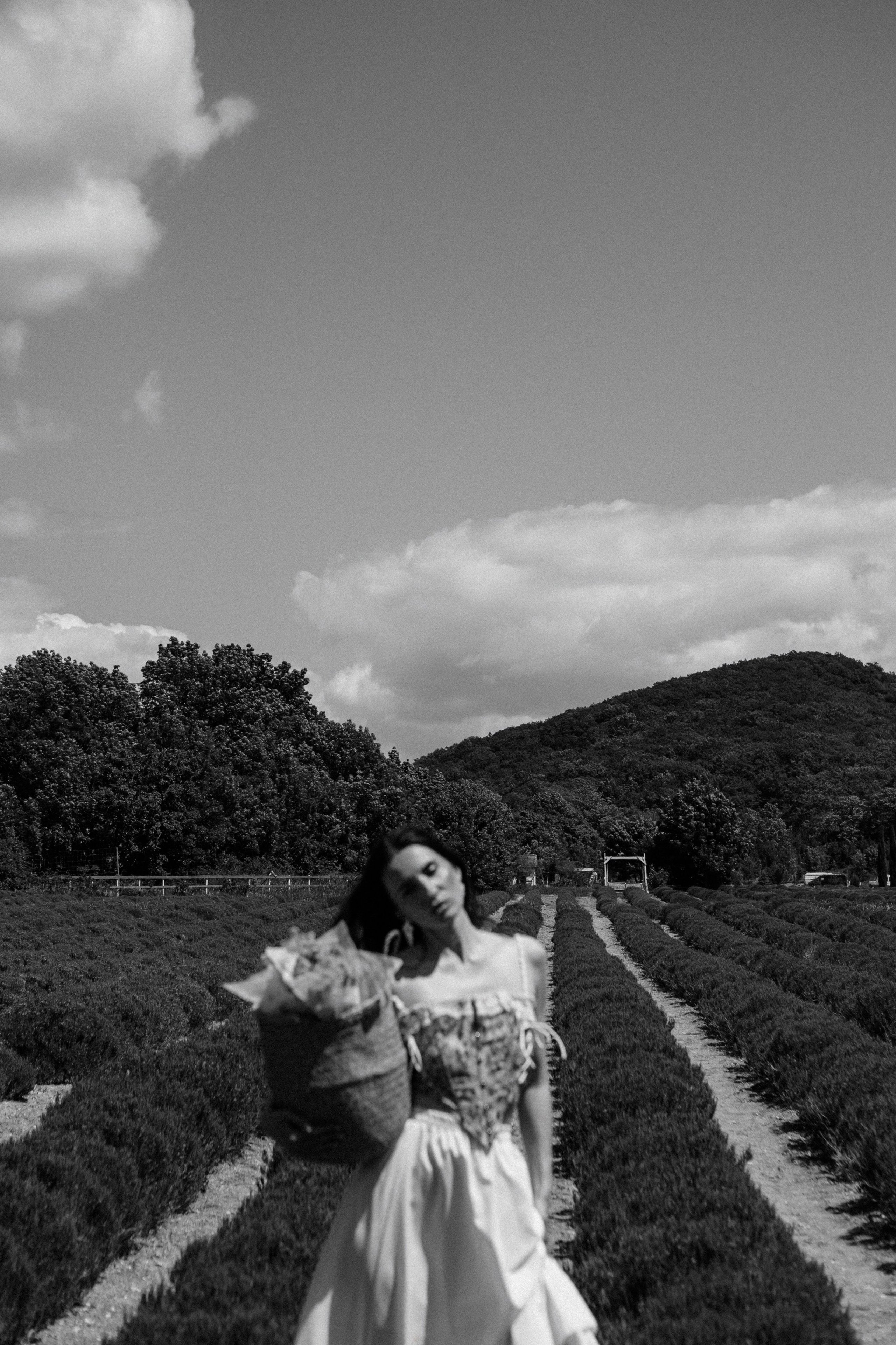 Кусочек Италии. Фотограф Трифон Мира