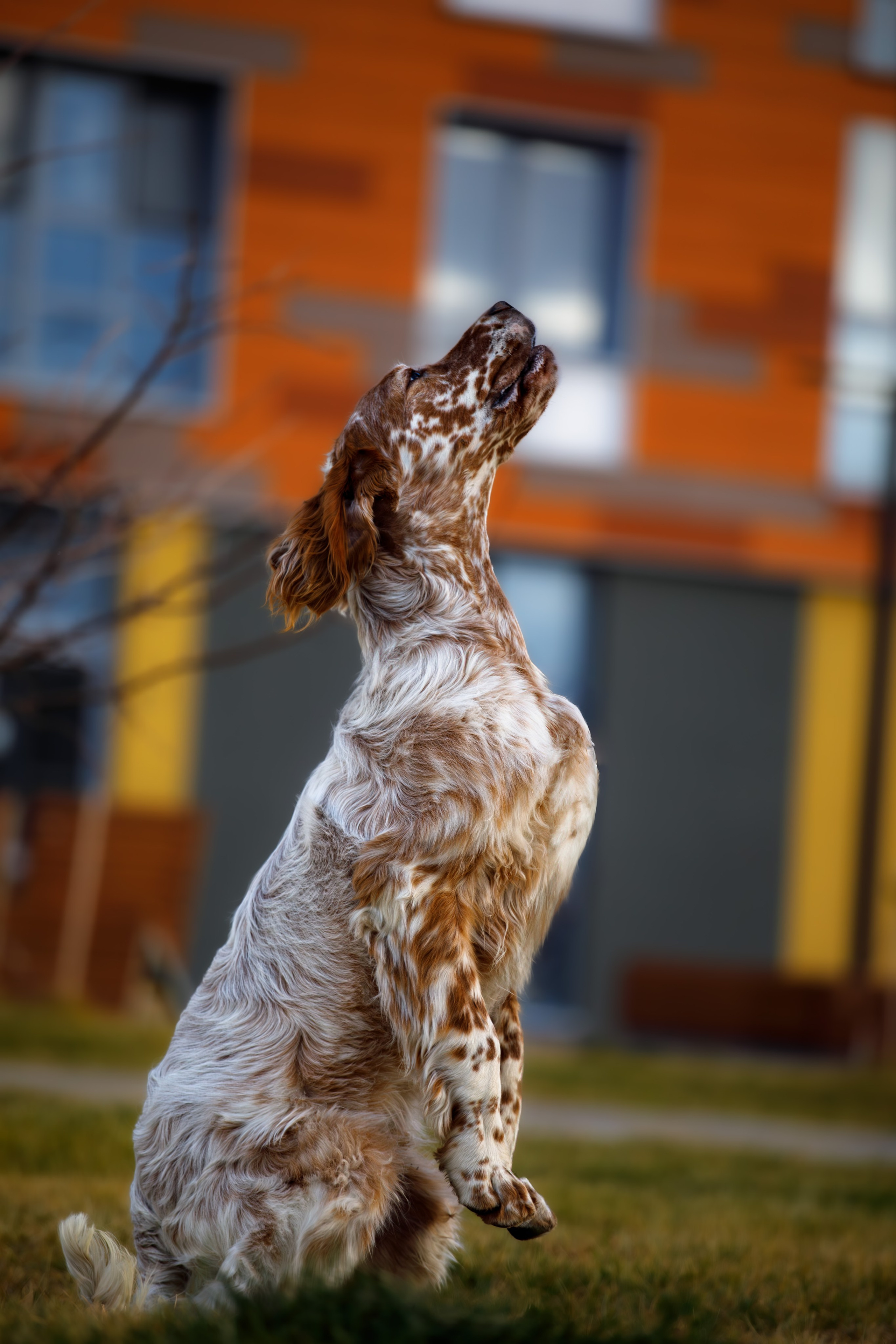 Андрей и Милан. Фотограф Екатерина Козловская