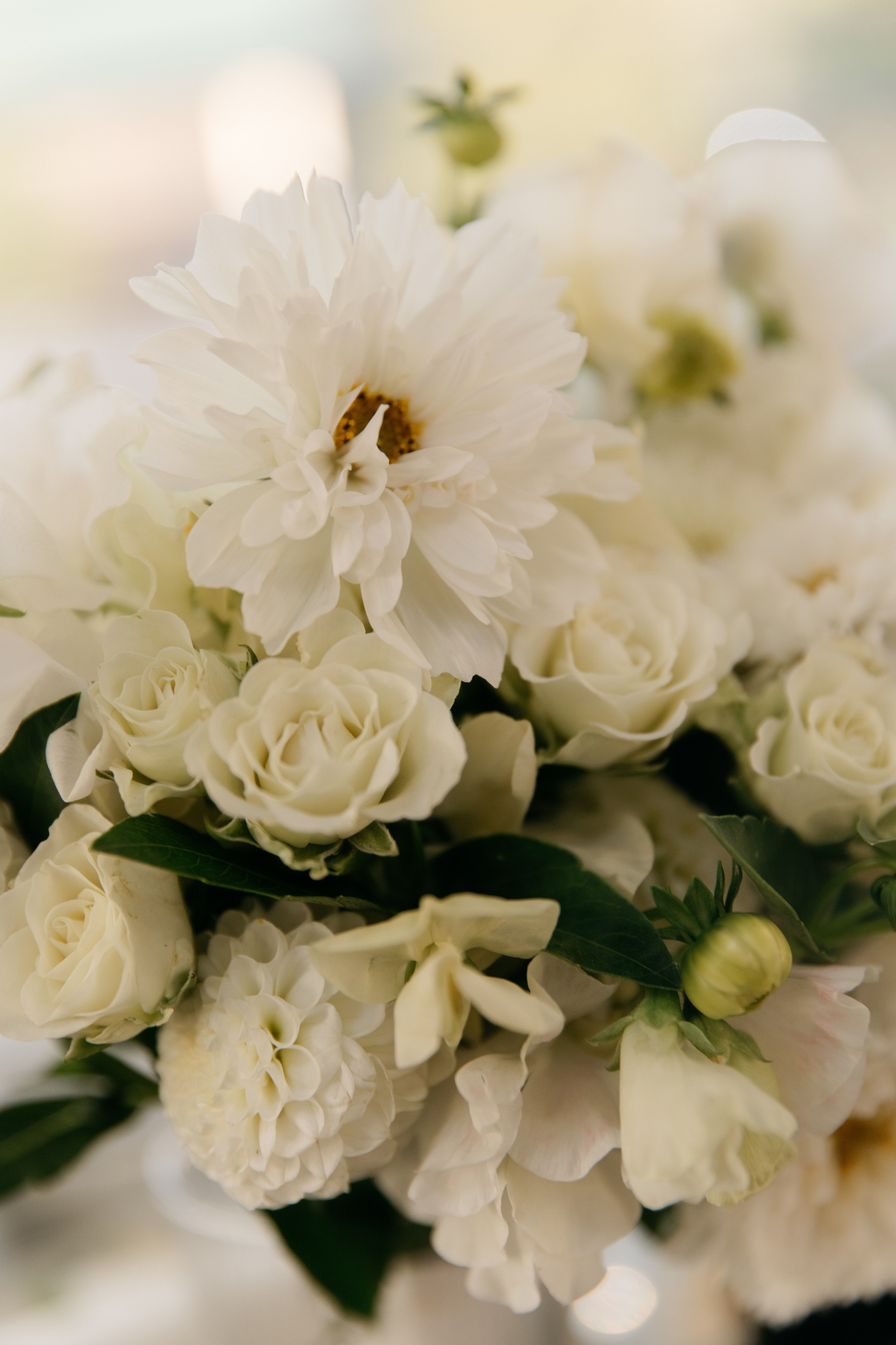 Свадебный анонс. Свадебный фотограф Кузнецова Ольга Санкт-Петербург, Вологда, Череповец