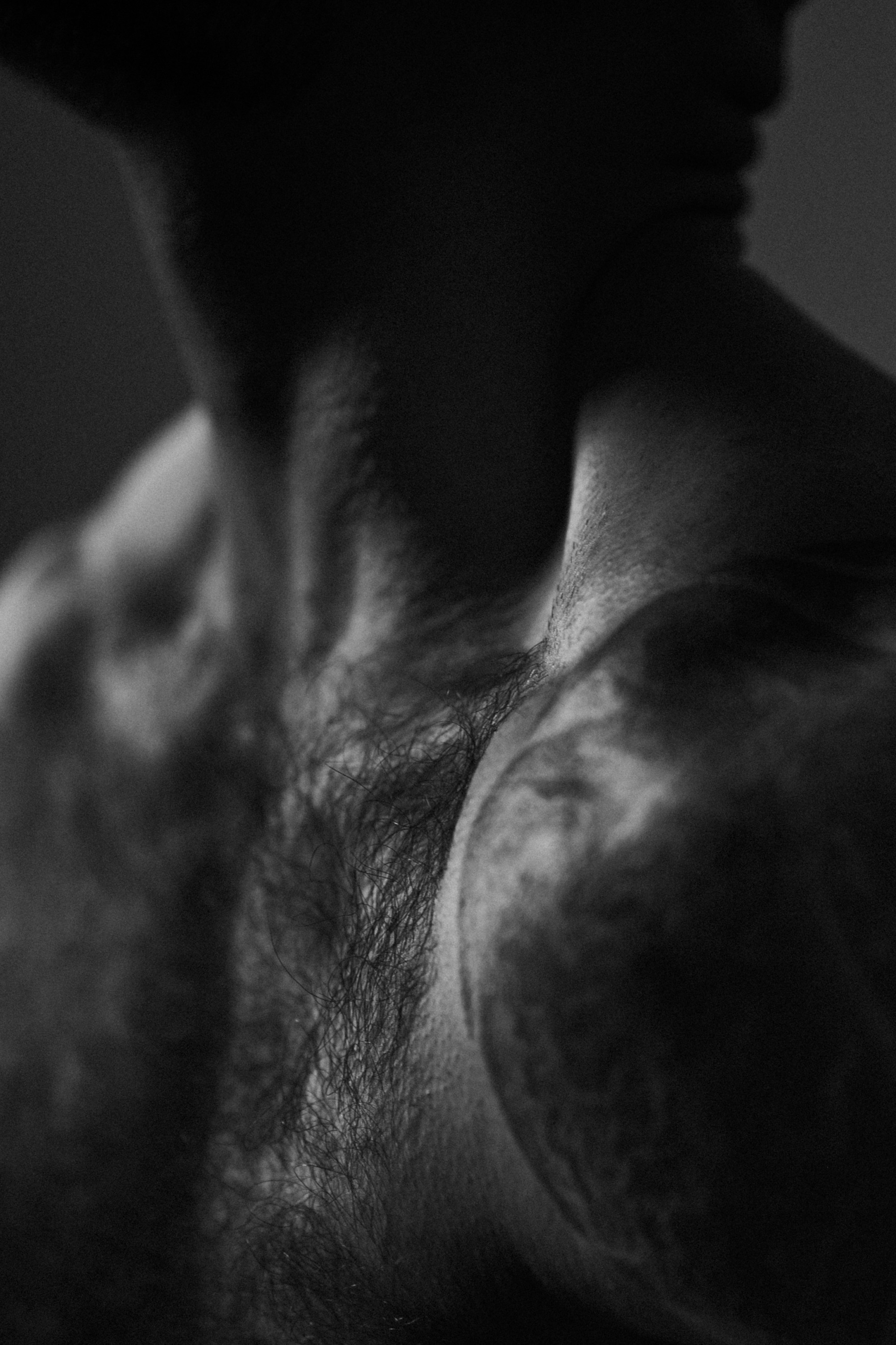 Феликс. Www.ostermiller.ru