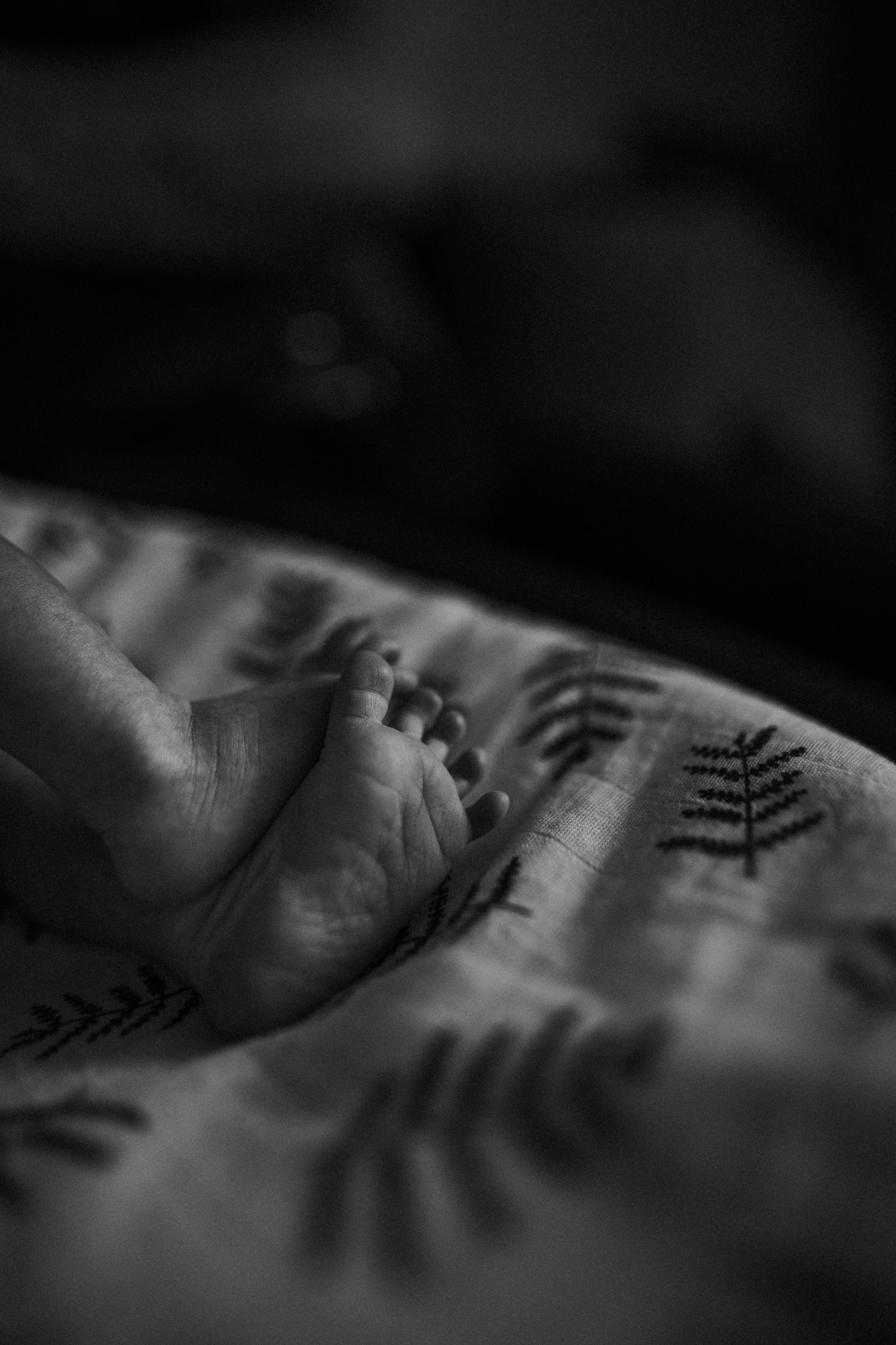 Дарина, Андрей, Павел. Www.ostermiller.ru