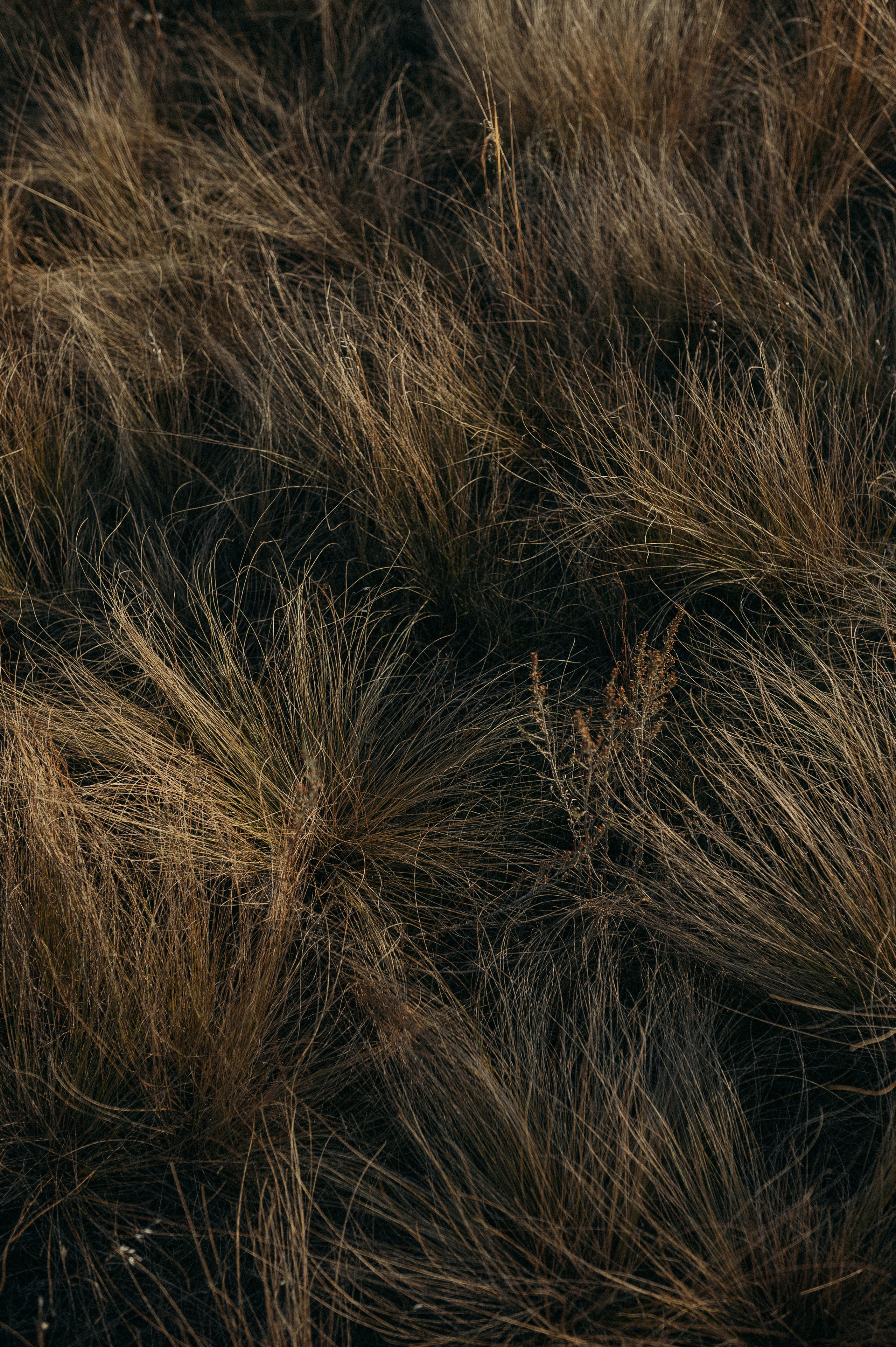 Анна. Www.ostermiller.ru