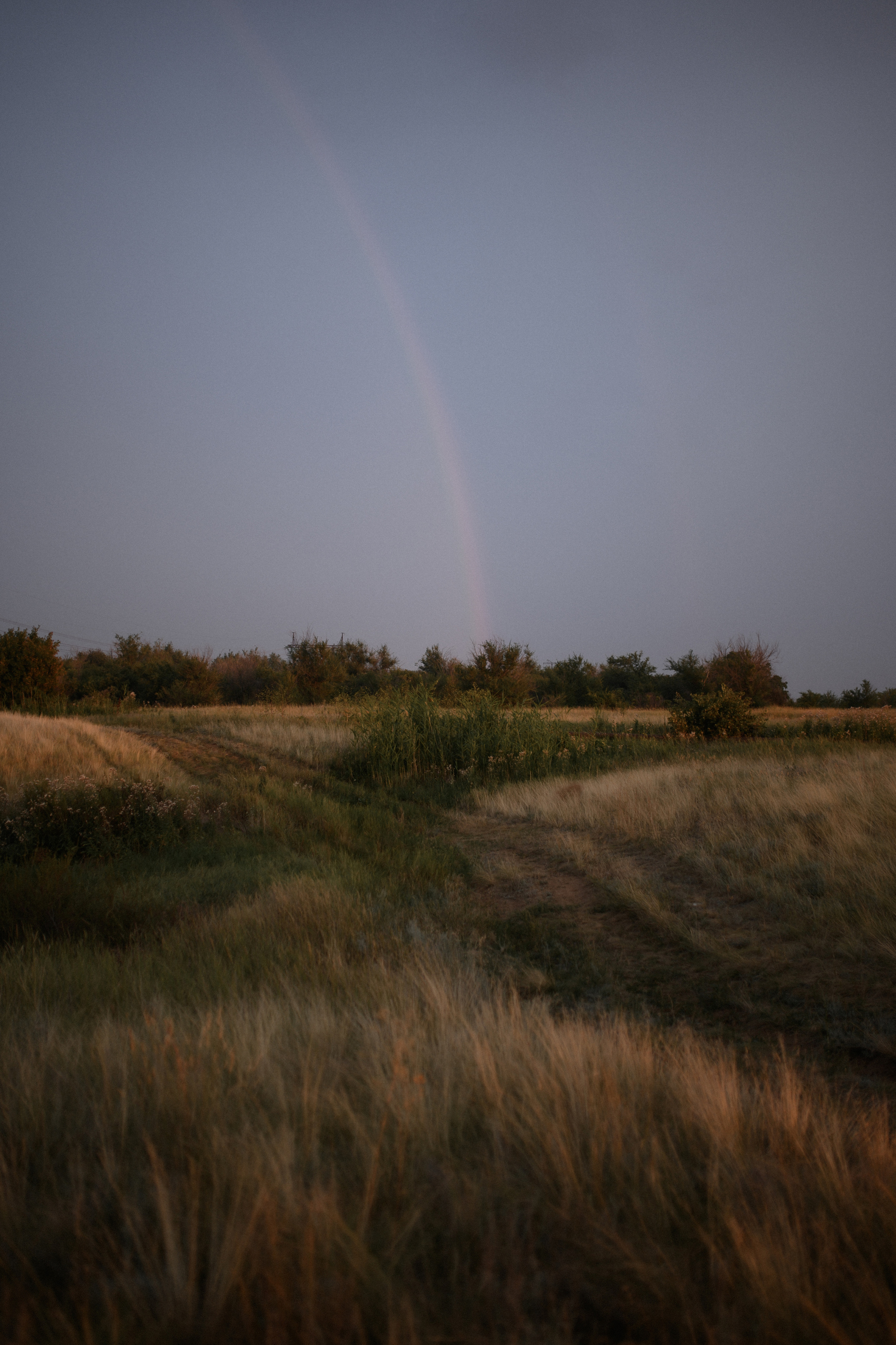 Даша. Www.ostermiller.ru