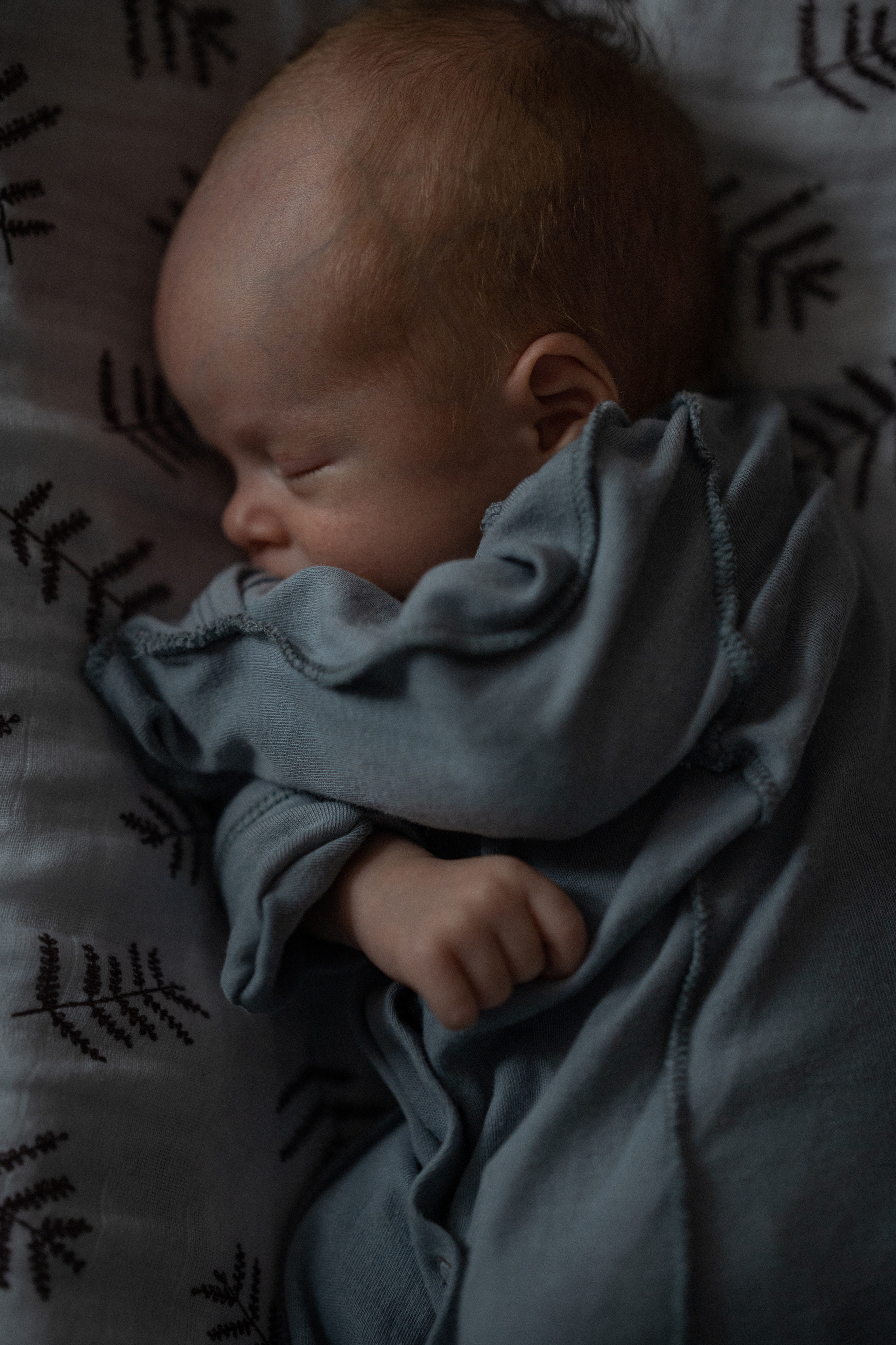 Дарина, Андрей, Павел. Www.ostermiller.ru