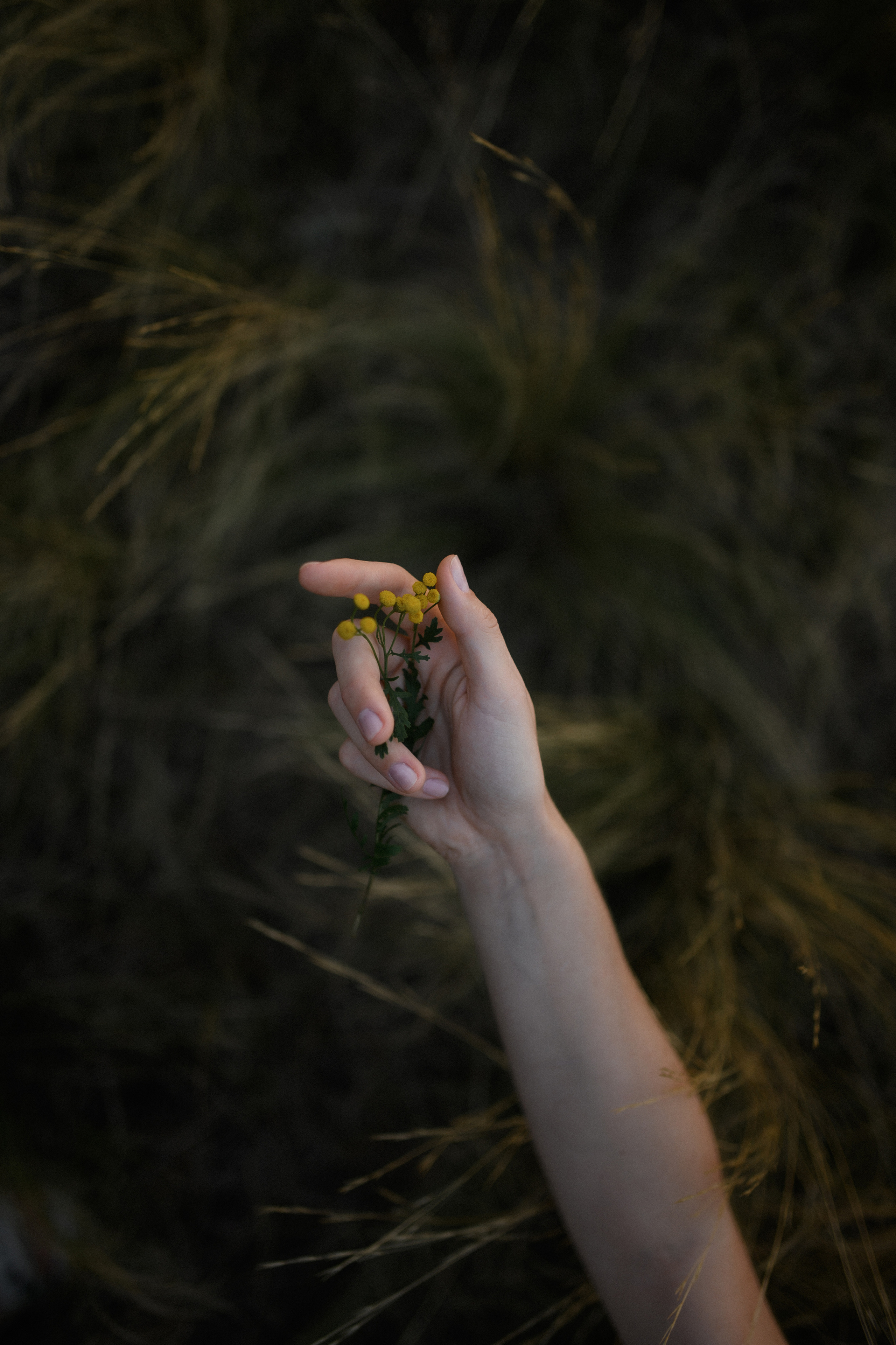 Даша. Www.ostermiller.ru