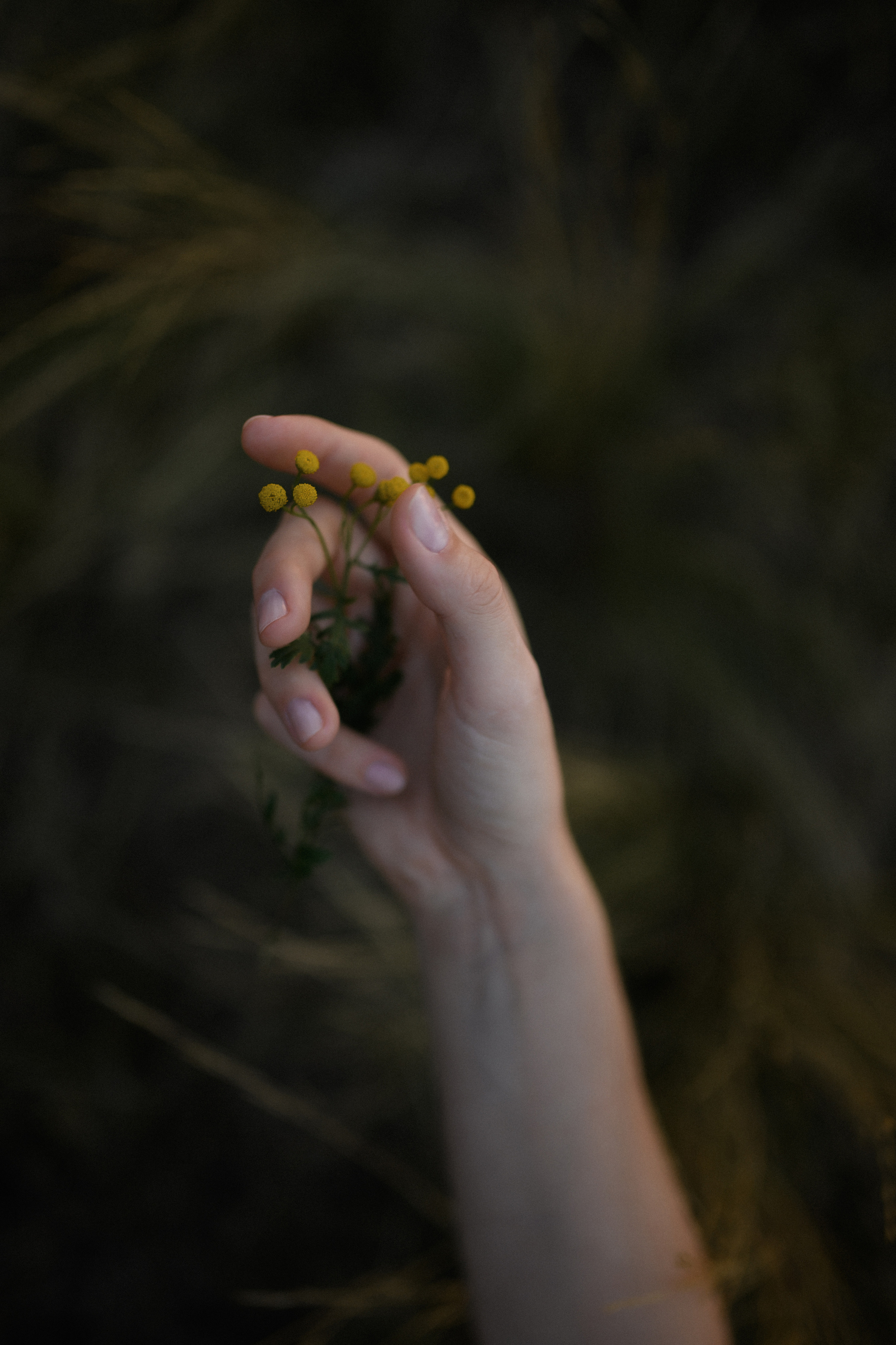 Даша. Www.ostermiller.ru