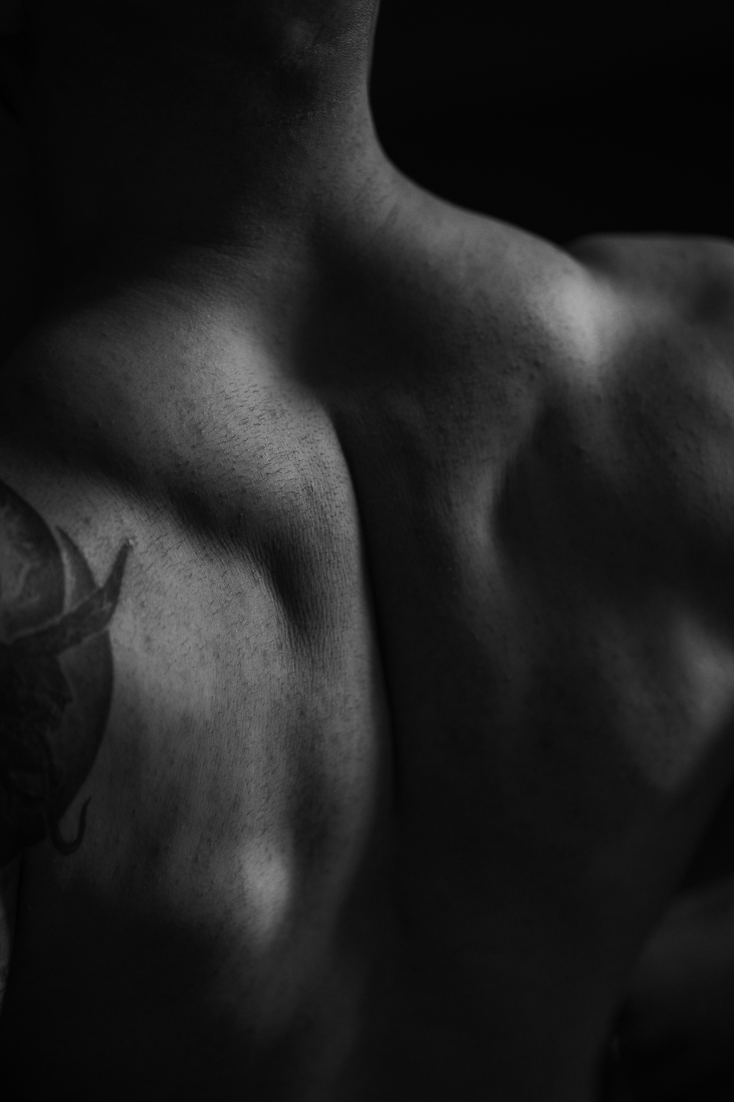 Феликс. Www.ostermiller.ru