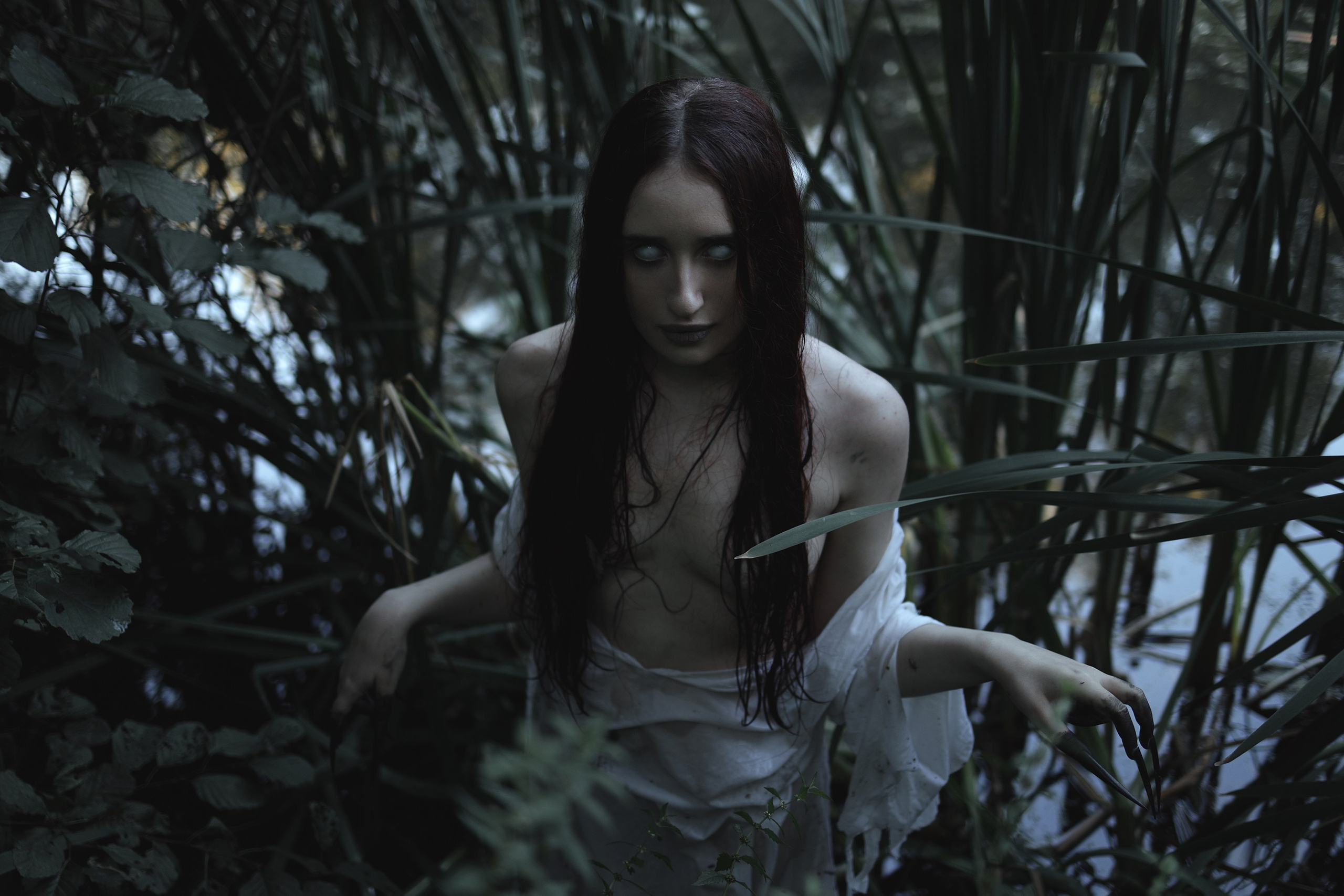 Wermut oder Petersilie?. Арт-фотограф. Coffelisk