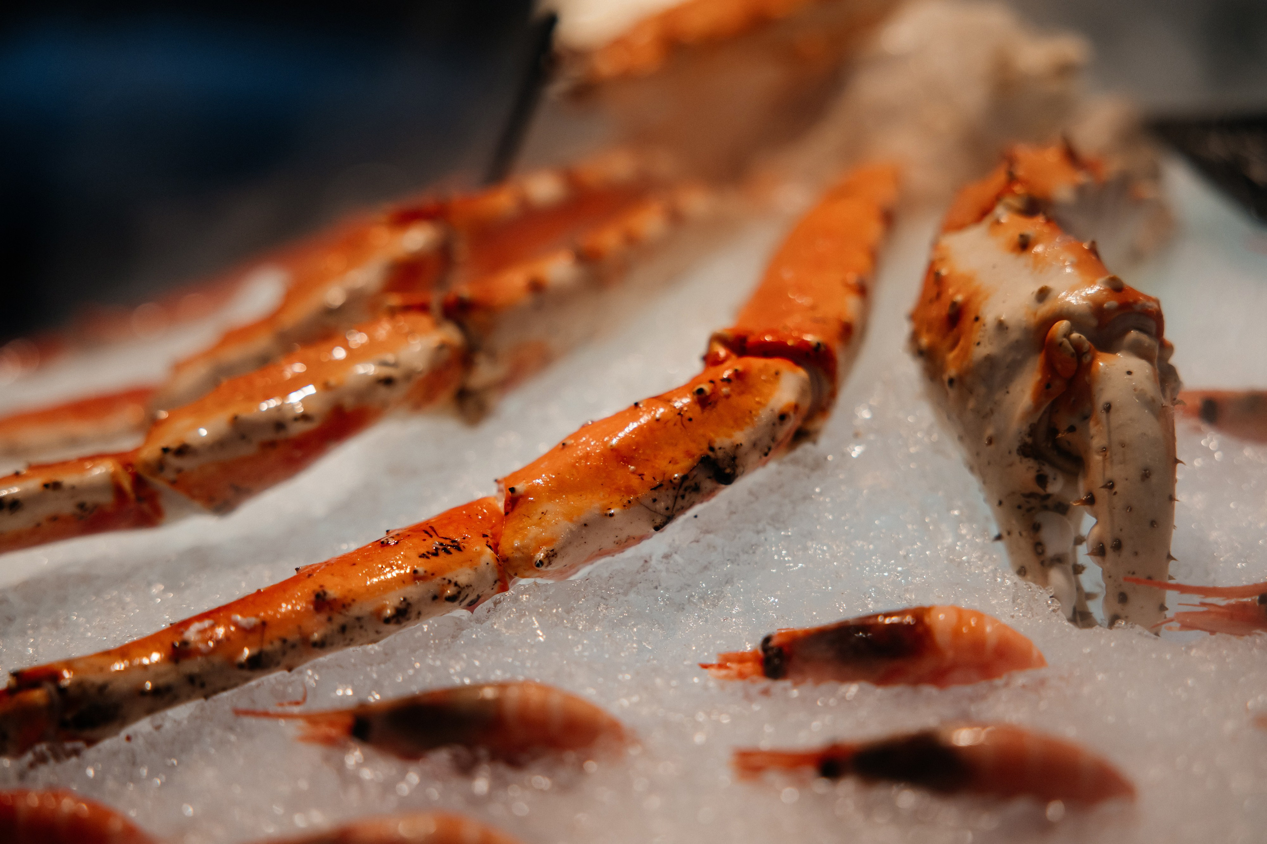 Ярослав & Надежда. Фотограф Москва Людмила Белова