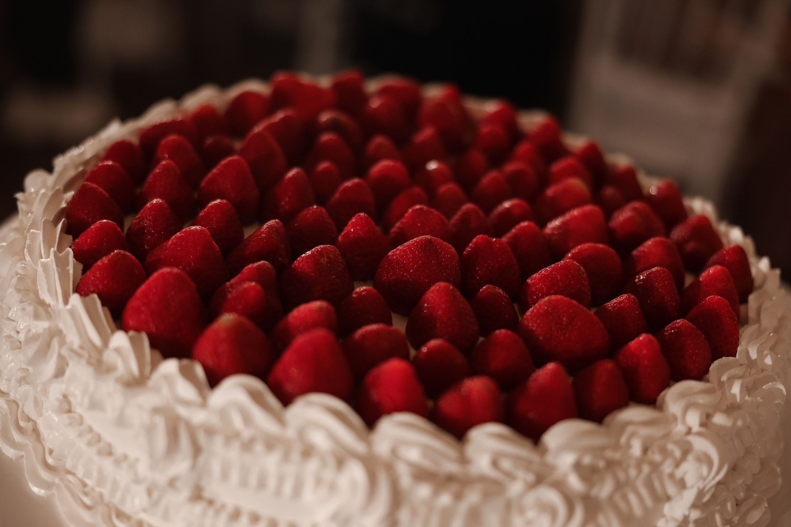 Натали и Виталий. Свадебный и семейный Фотограф Денис Кошель