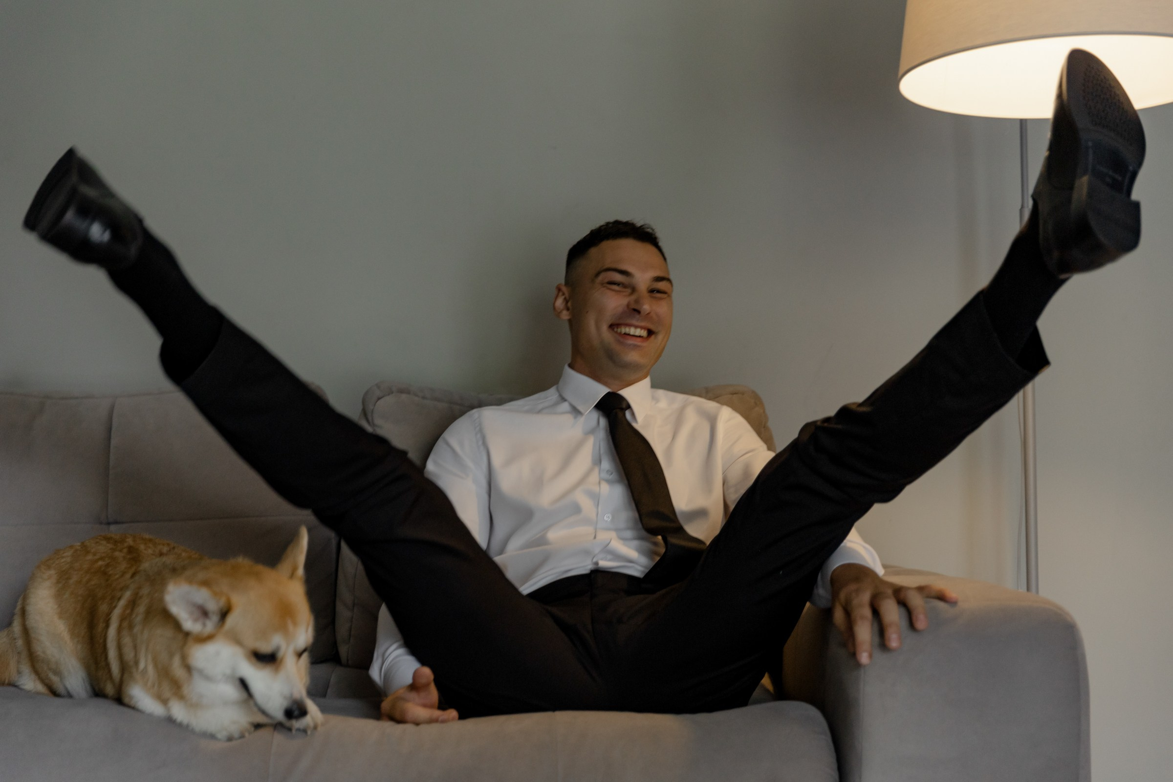 Свадьба пес и котики. Dima Lemeshevsky