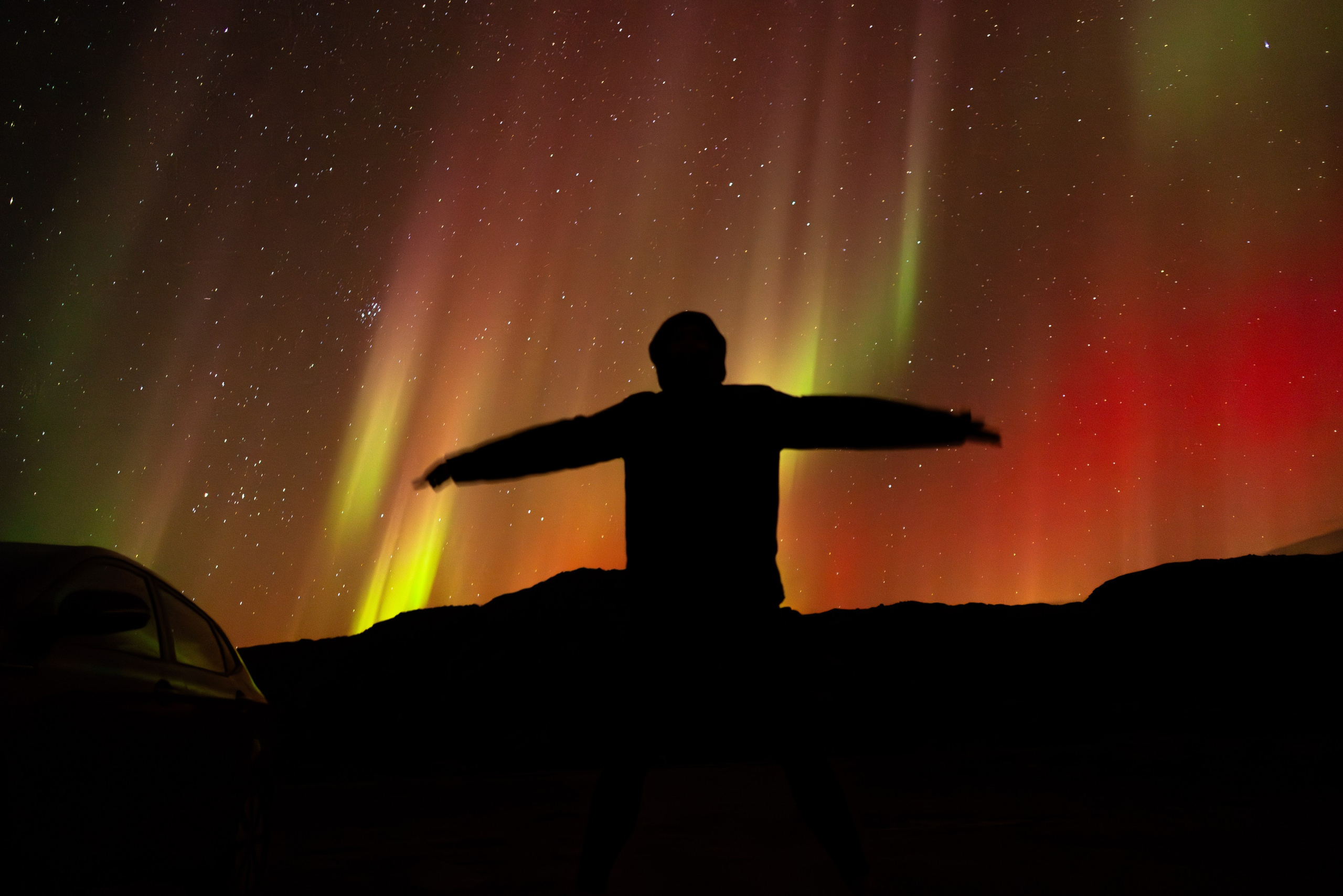 Кольский. Фотограф и видеограф анималист Аганина Дарья