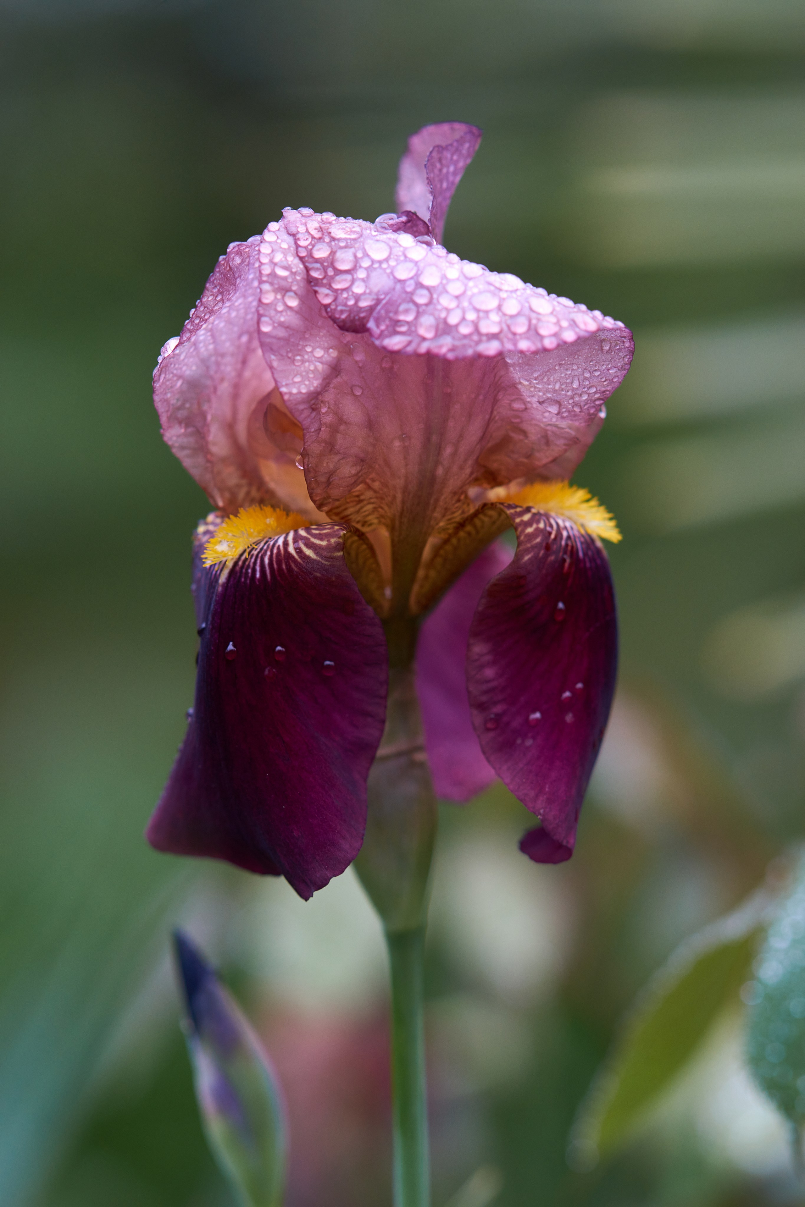 Сочи. Чёрное море. Фотограф Владимир Артамонов