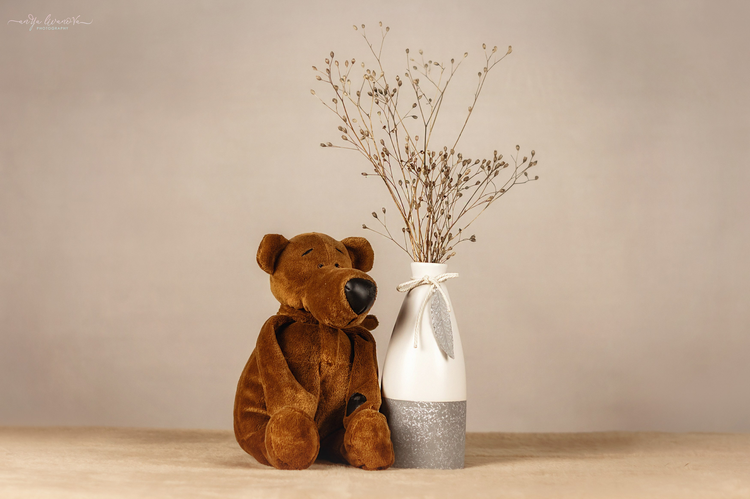 Светлый фон. Фотограф анималист Аня Ливанова | Рыбинск