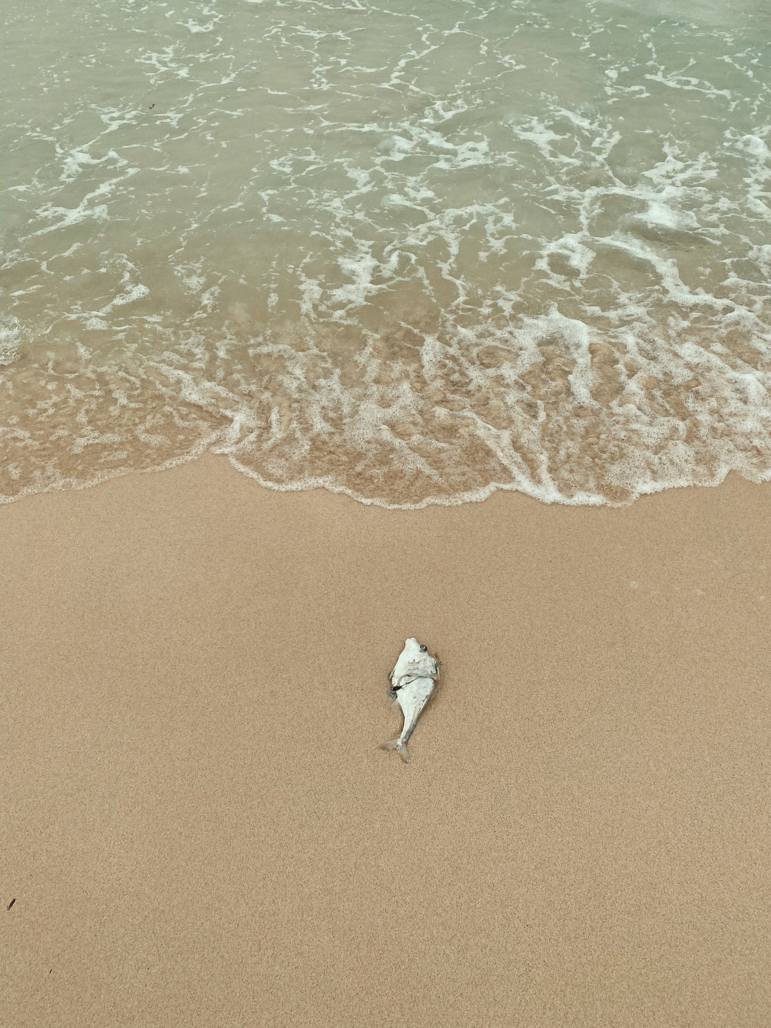 Dubai. Photographer Yana Kotova