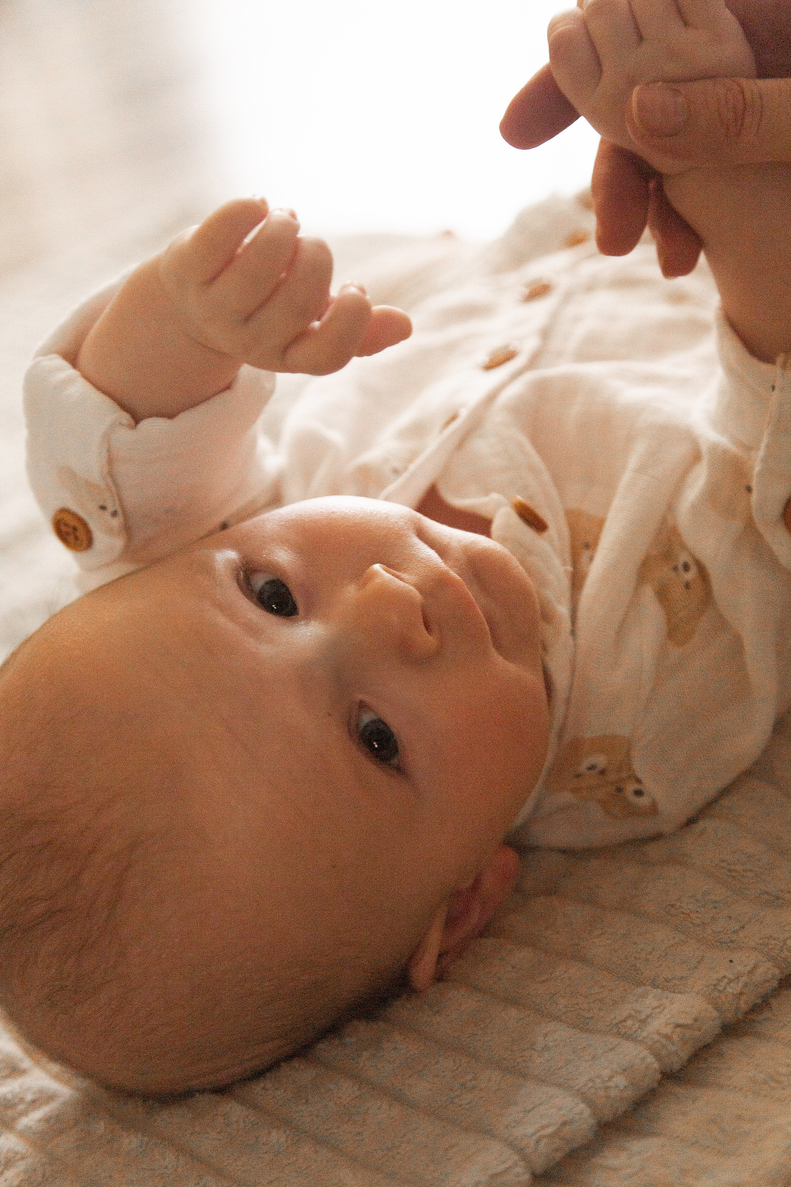 Семейные. Фотограф Диана Карп Москва