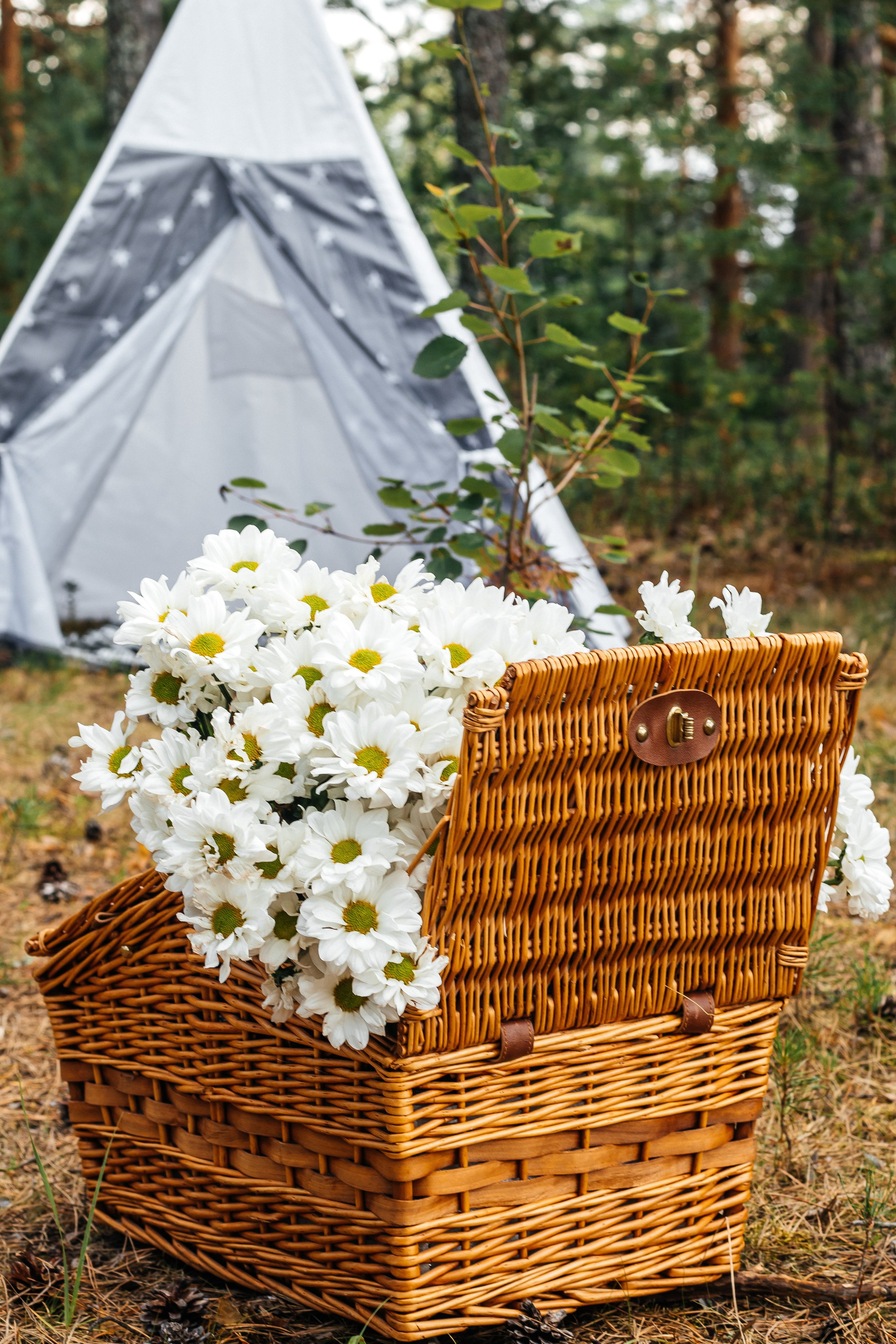 30.07.2023. Свадебный и семейный фотограф в Нижневартовске Татьяна Мартынова