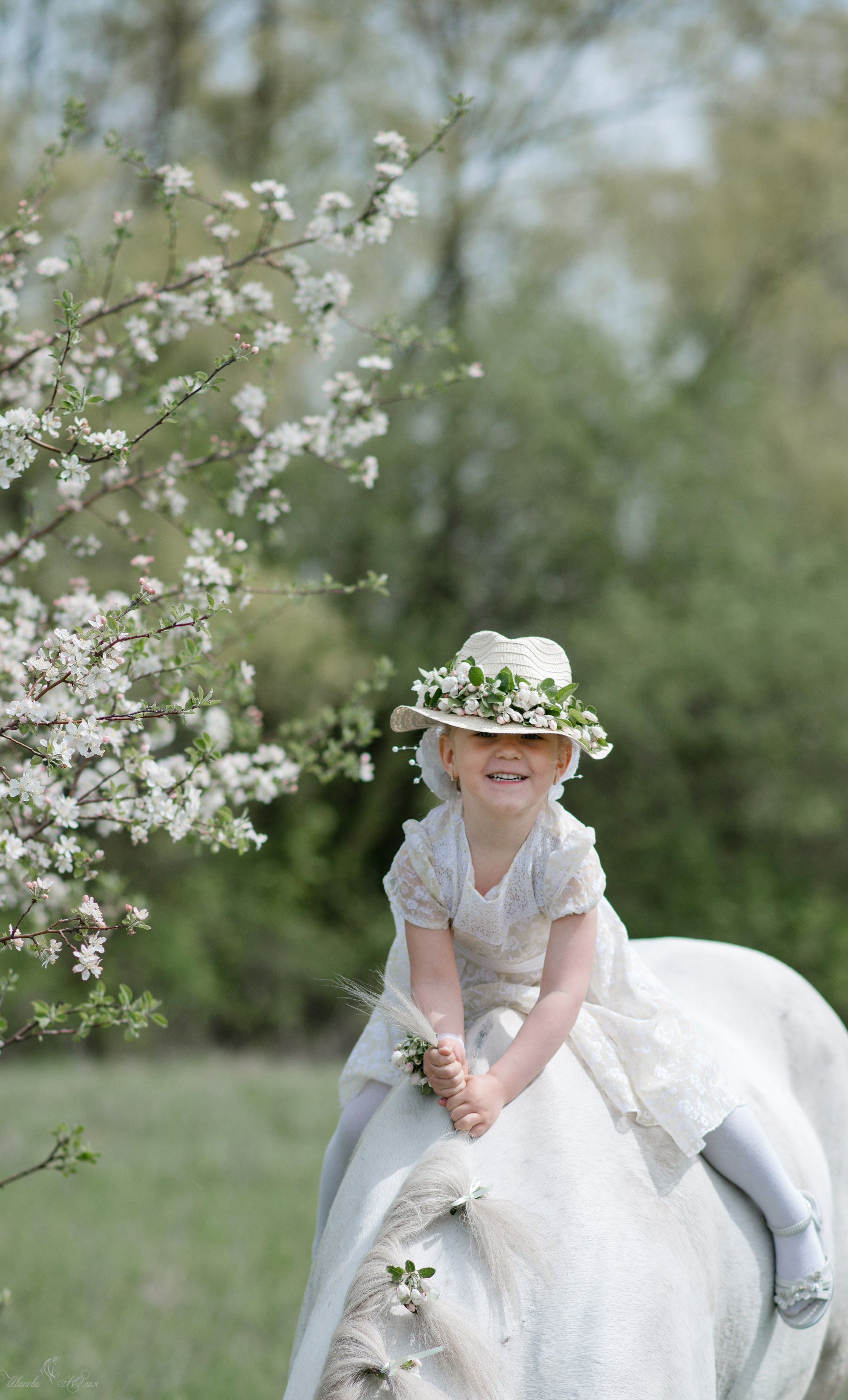 Мирослава и Гипноз. Конный фотограф в Саратове Юлия Иванова