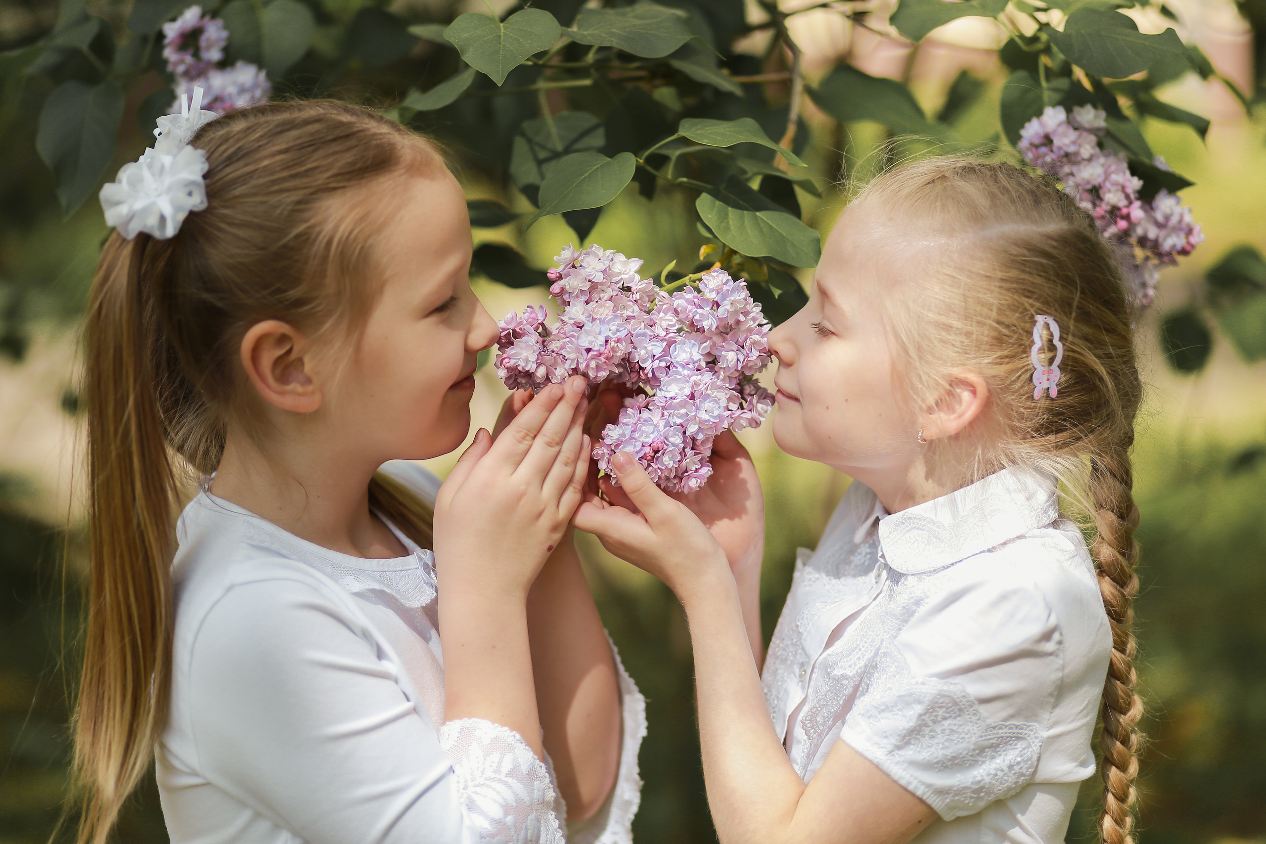 Первоклашки 1Л. Антонина Морозова, профессиональный семейный фотограф видеограф