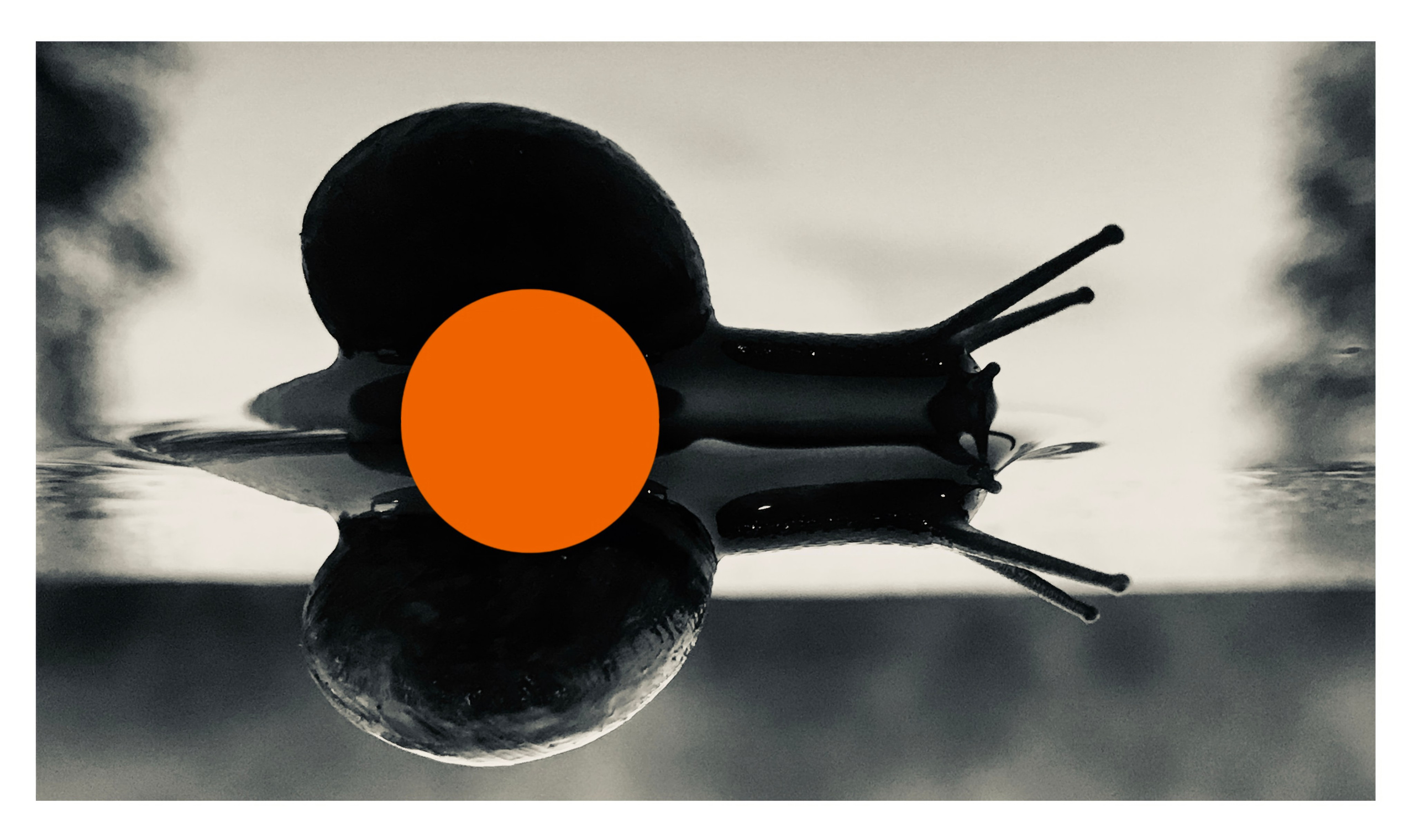 Испорченные фотографии — авторская серия Ма. Ма