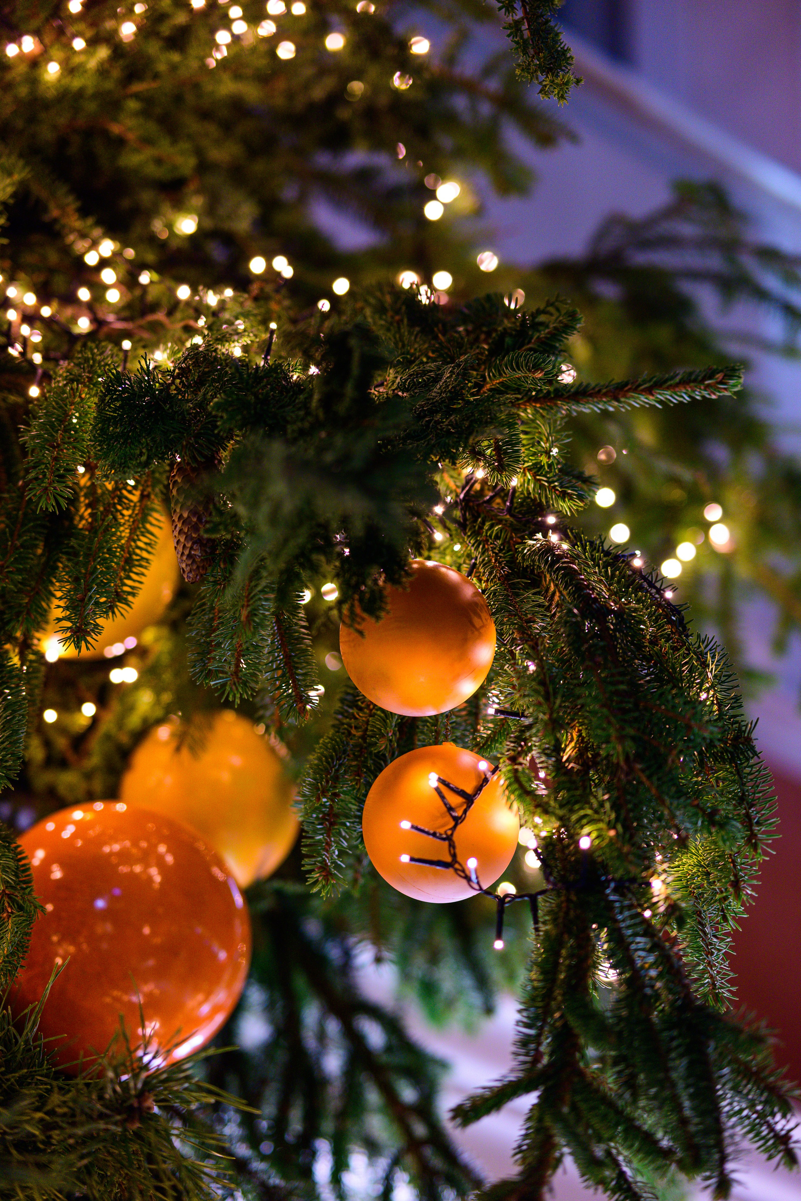 Зимняя Калининградская область. Фотосъемка и видеосъемка в Калининграде Liveemotion.pro