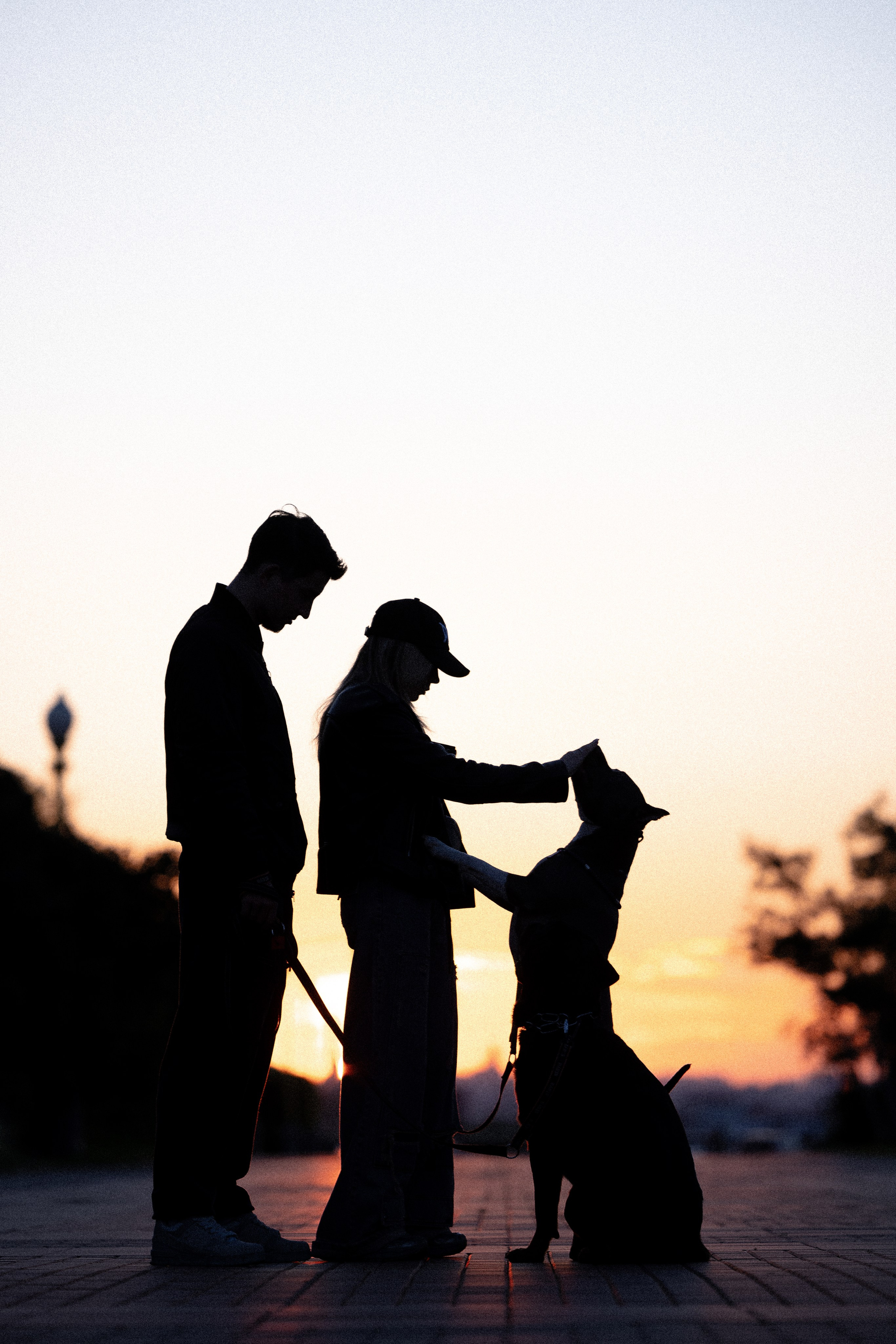 Катя, Леша, Лея и Трой. Фотограф и видеограф анималист Аганина Дарья