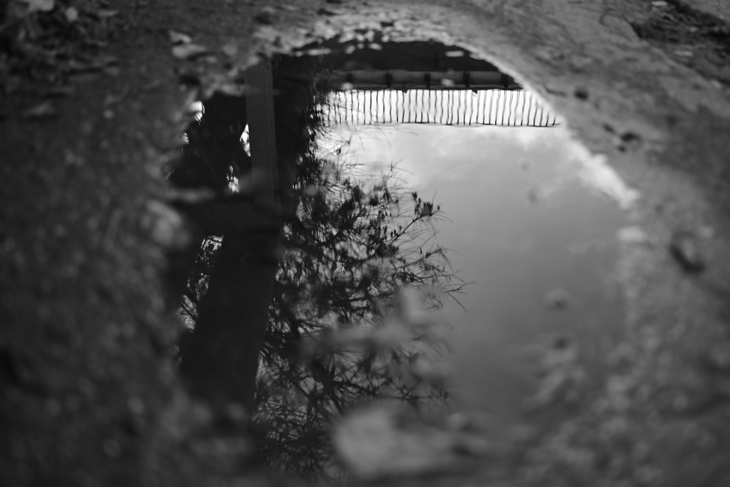 Октябрь над Волгой. Фотосъёмка праздничных мероприятий, портретная съёмка в Самаре, Пётр Бубняев