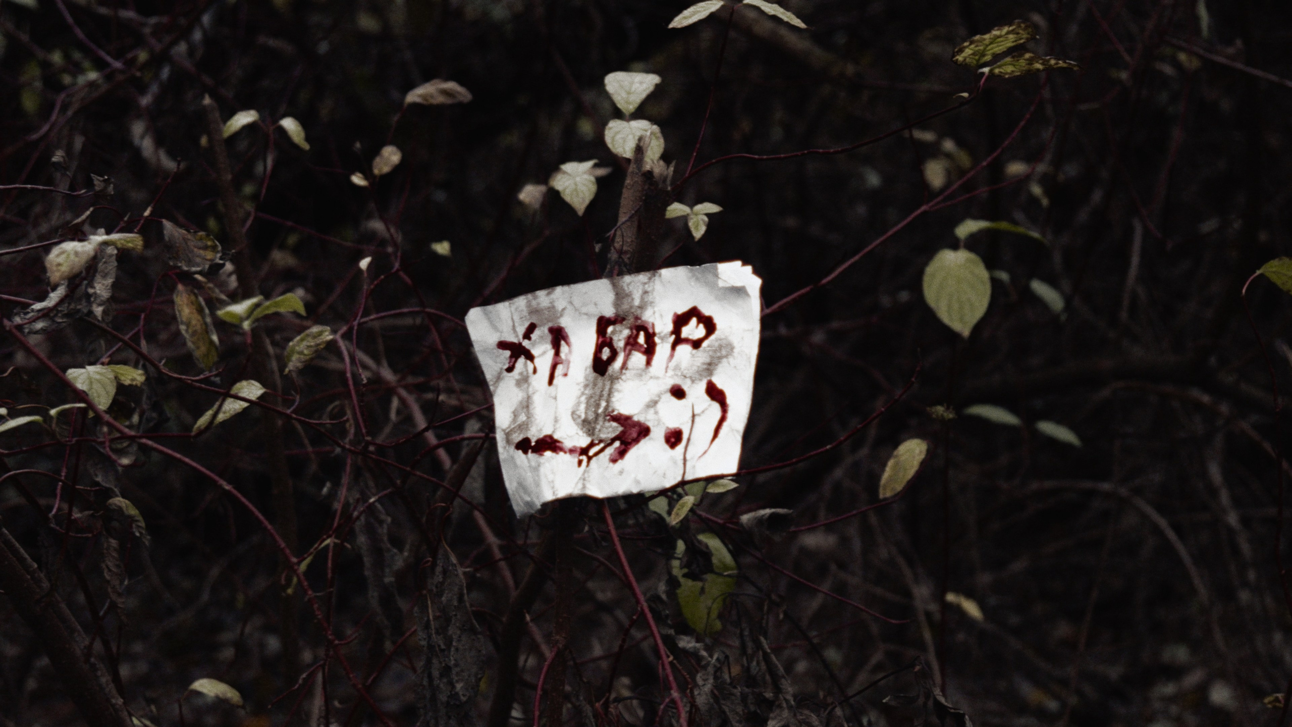 S.t.a.l.k.e.r. andrey — Реж. Тресков Александр, Леонид Соловьев, Георгий Трипута (Short Film). Колорист Евегений Воронин