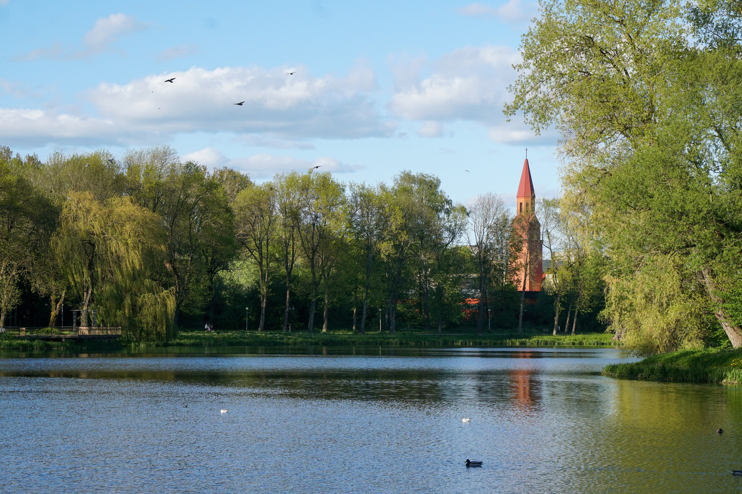 СОВЕТСК, ЧЕРНЯХОВСК. Фотограф Наталья Погодина в г. Обнинске