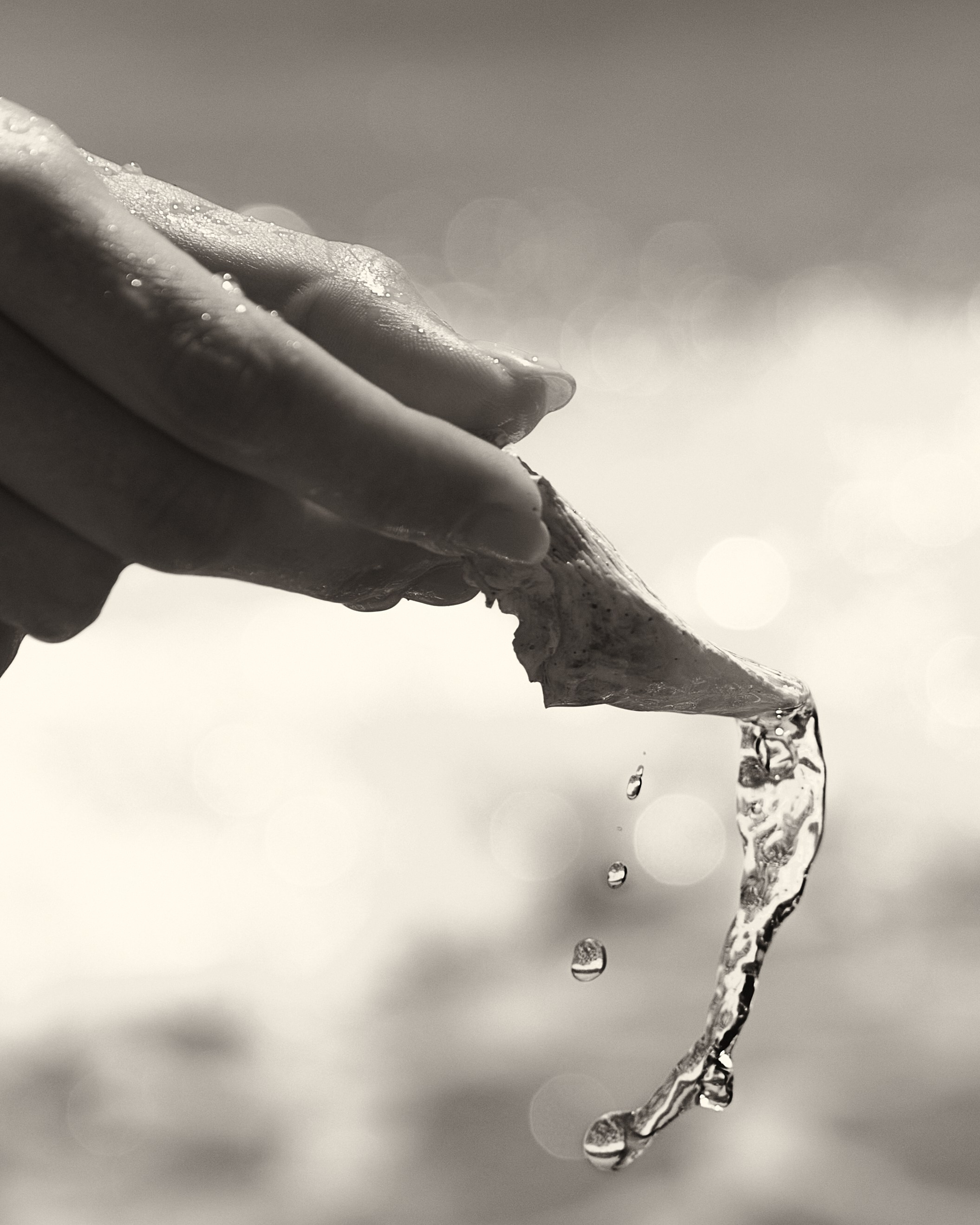 Морское. Фотограф в Мурманске Оксана Черноморец