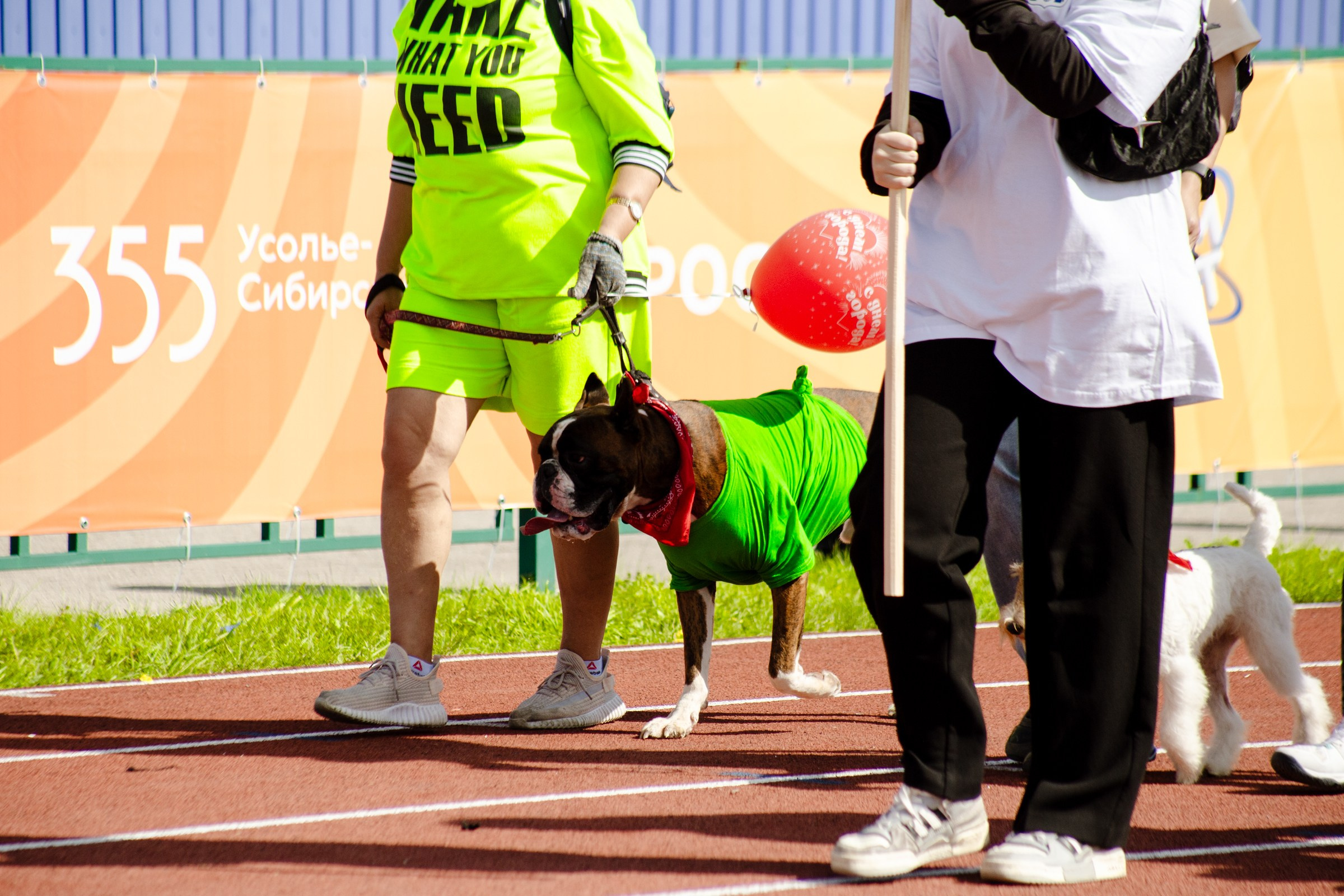 День города Усолье-Сибирское 2024. Фотограф в Иркутске Евгения Айвазова