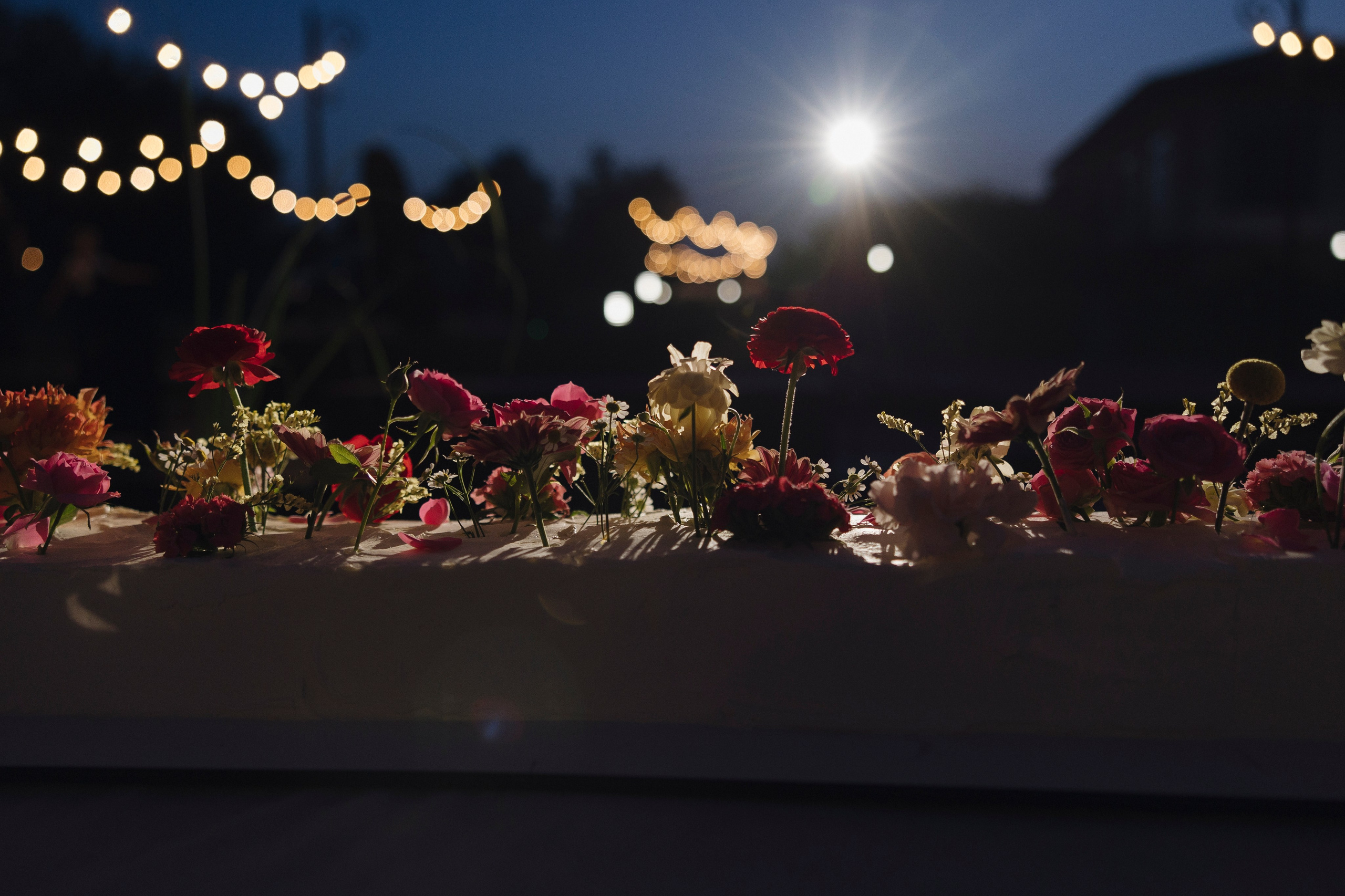 Никита и Полина. Свадебный фотограф Курск Максим Ноздрачев