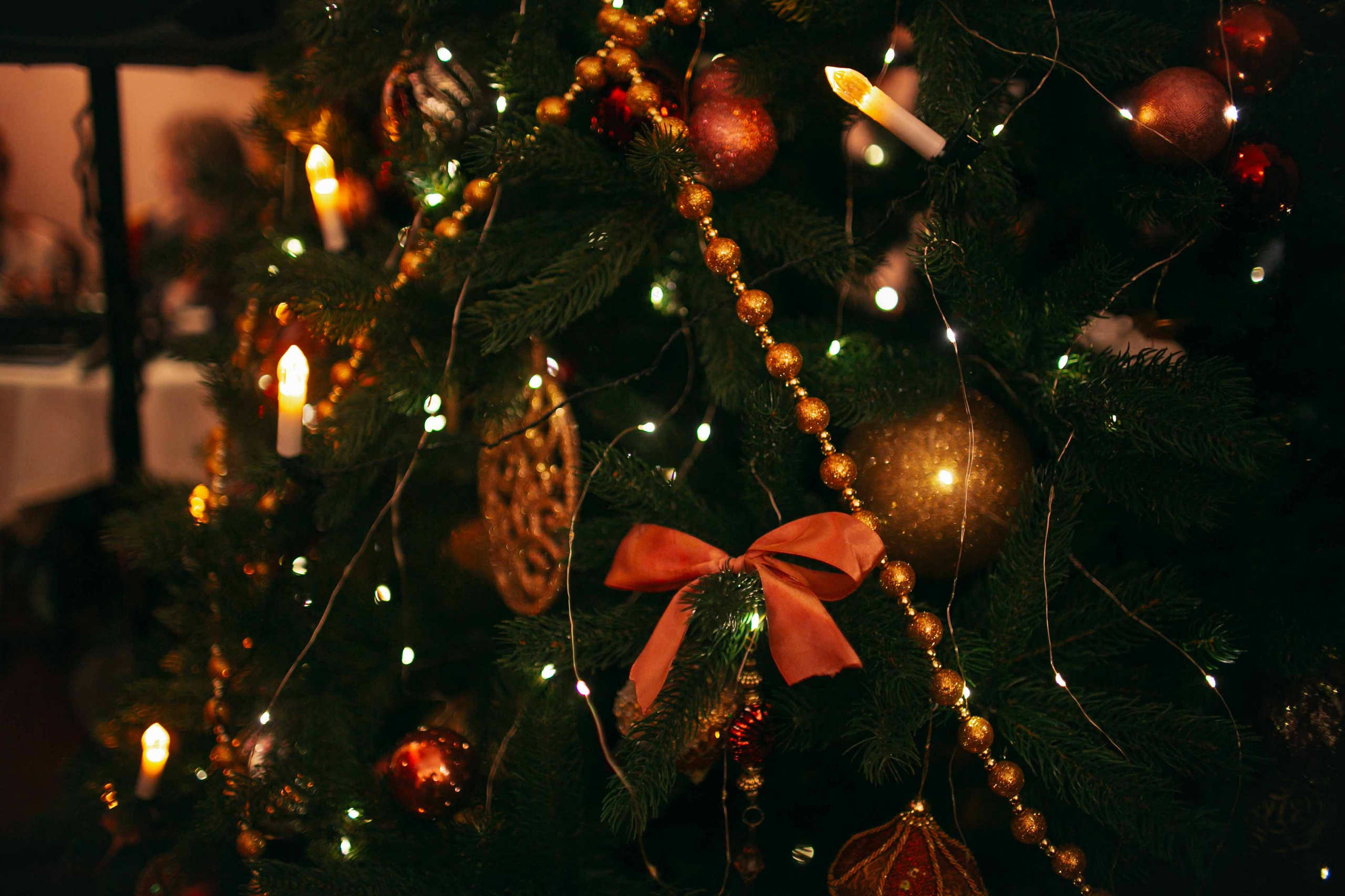 Вечер в «Дежавю». Ваш репортажный фотограф Артемий Антонов