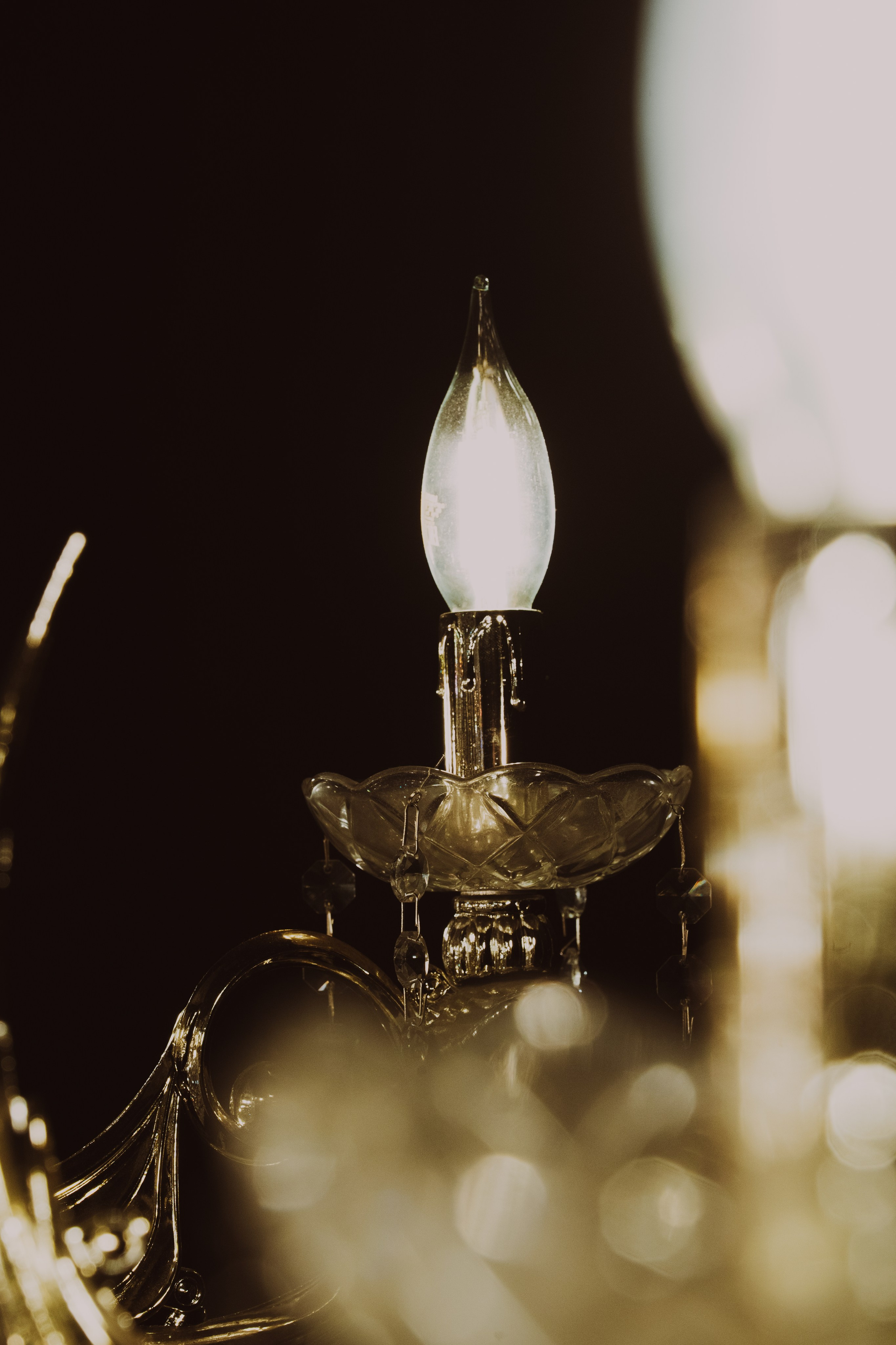 Мария в образе невесты с укусом | Портфолио. Фото и видео съёмка в Москве и МО Александр Чапала и Трояк Алеся